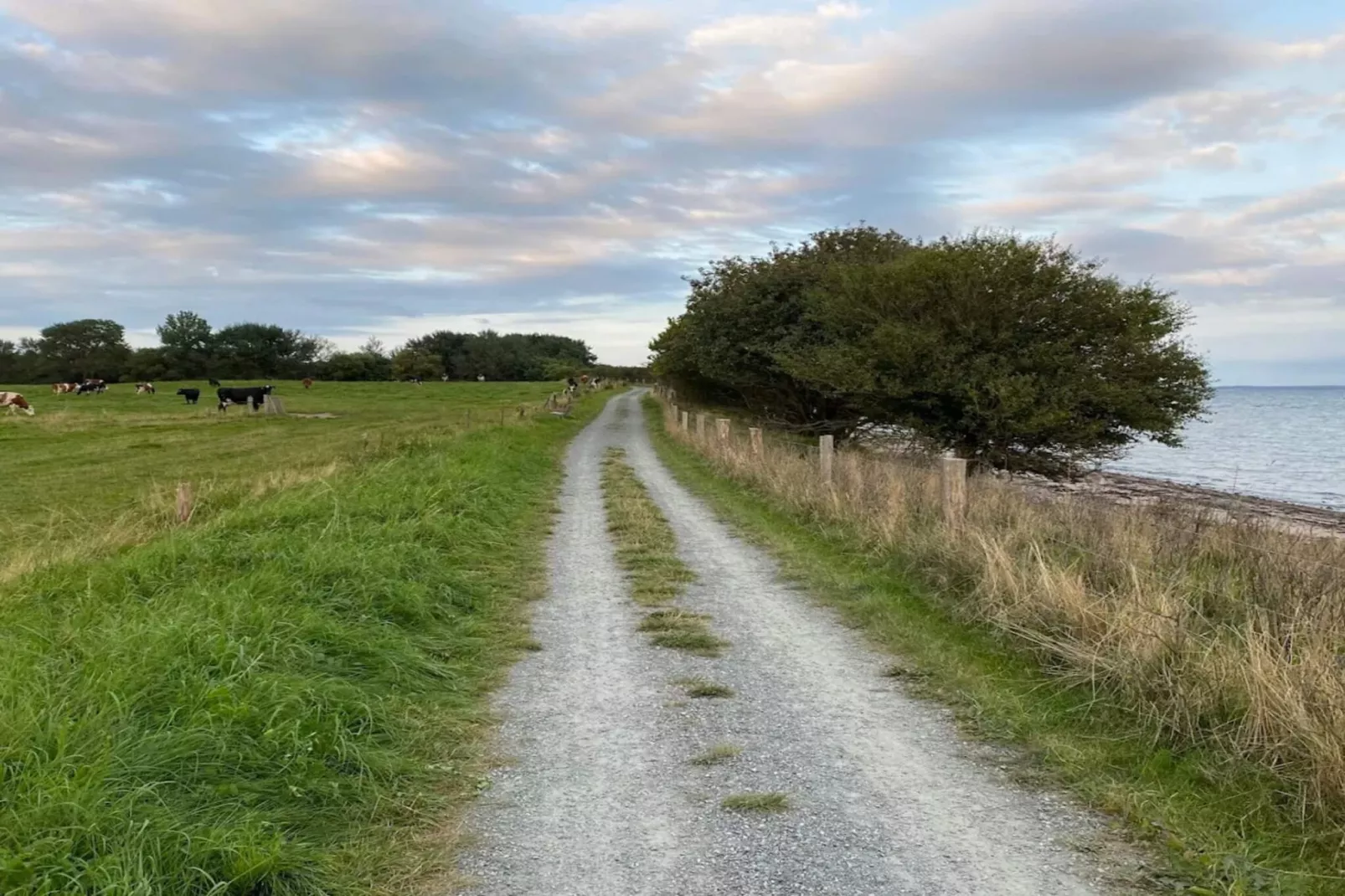 8 persoons vakantie huis in Bjert-By Traum-Waterzicht