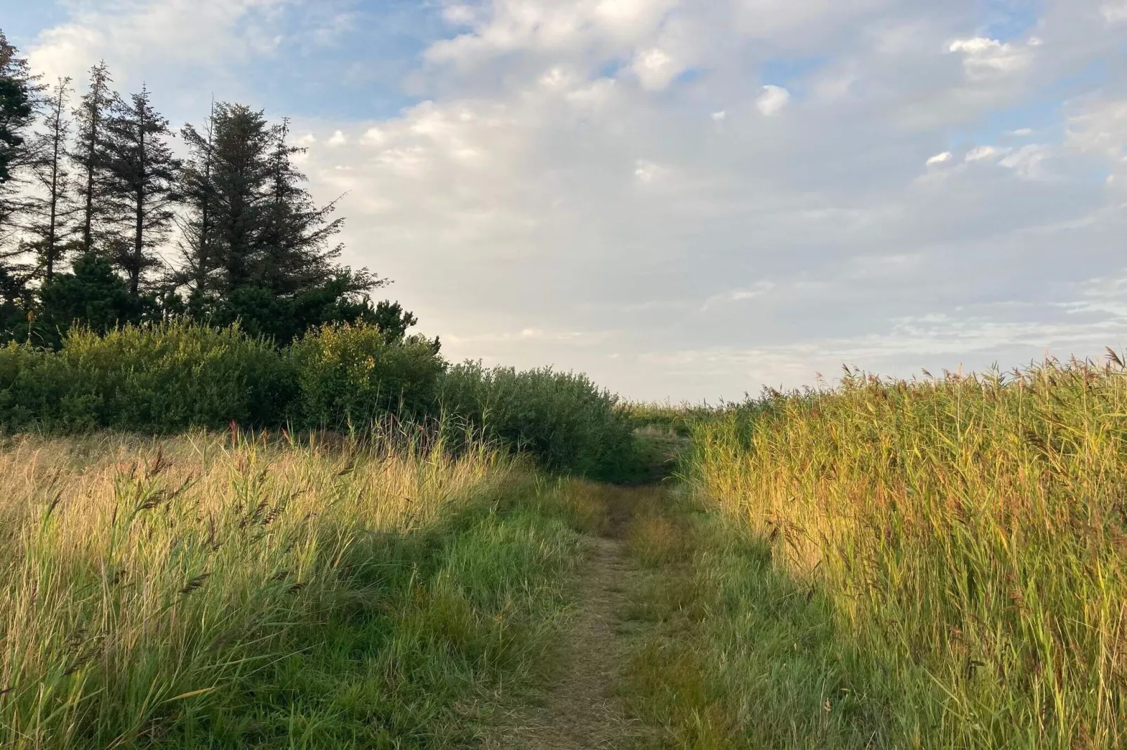 6 persoons vakantie huis in Hals-By Traum-Niet-getagd