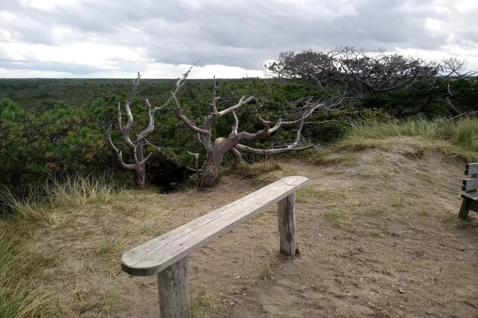 6 persoons vakantie huis in Ulfborg-By Traum-Niet-getagd