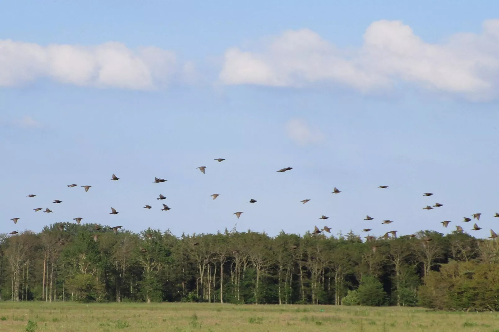 8 persoons vakantie huis in Bogense-By Traum-Niet-getagd