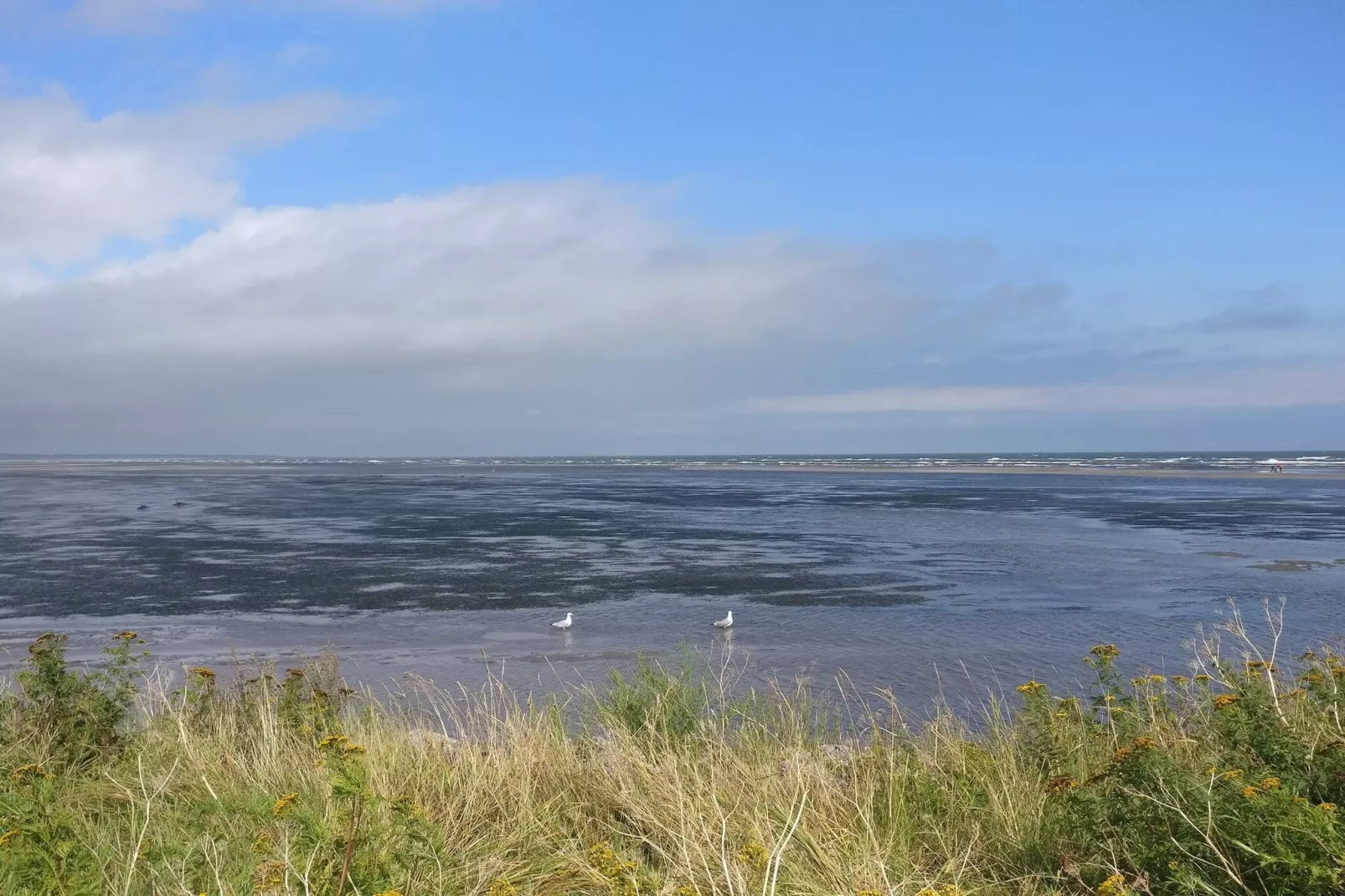 6 persoons vakantie huis in Asaa-By Traum-Waterzicht