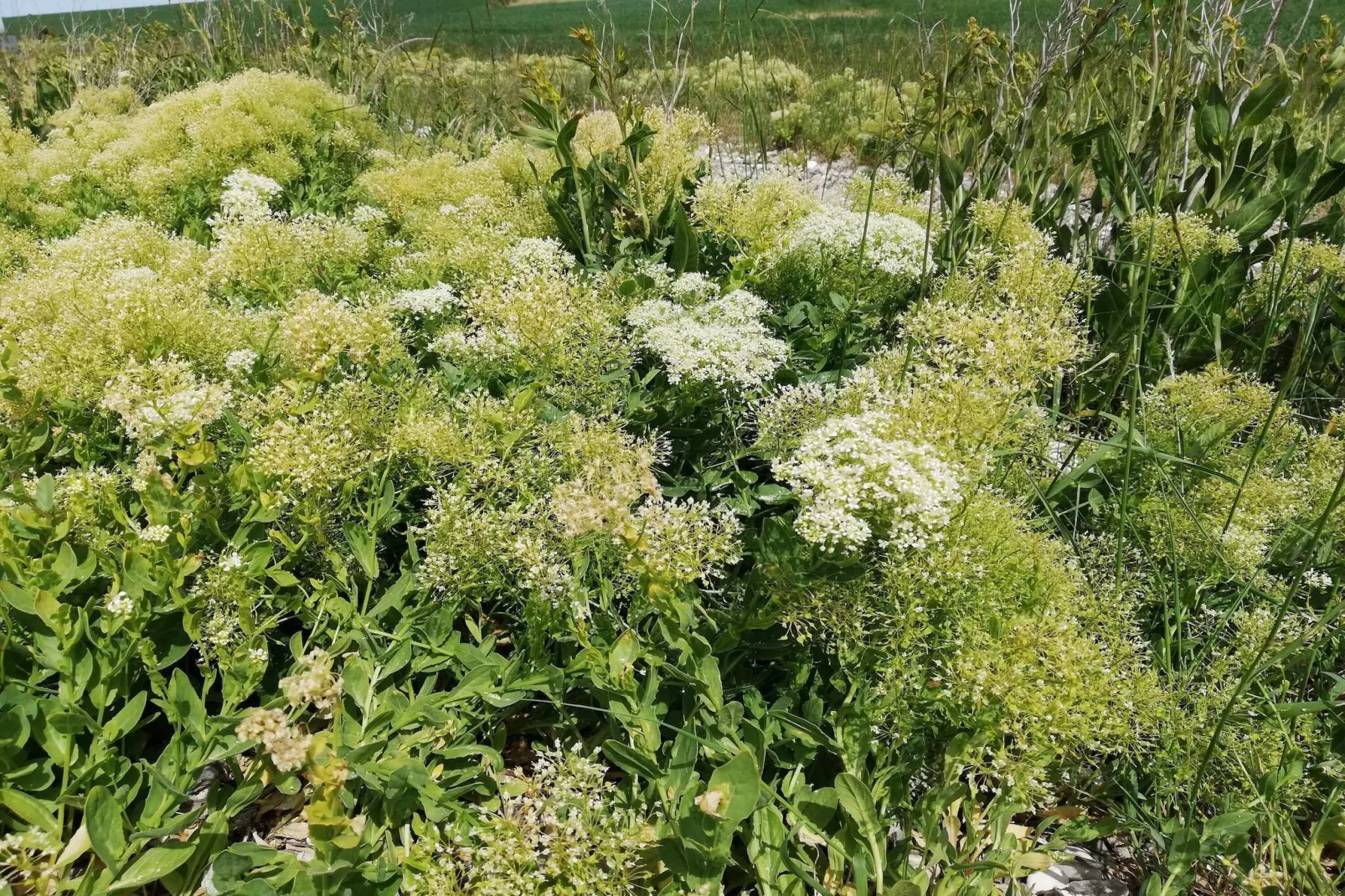 Panoramisch toevluchtsoord in Borgnaes -- By Traum Ferienwohnungen-Niet-getagd
