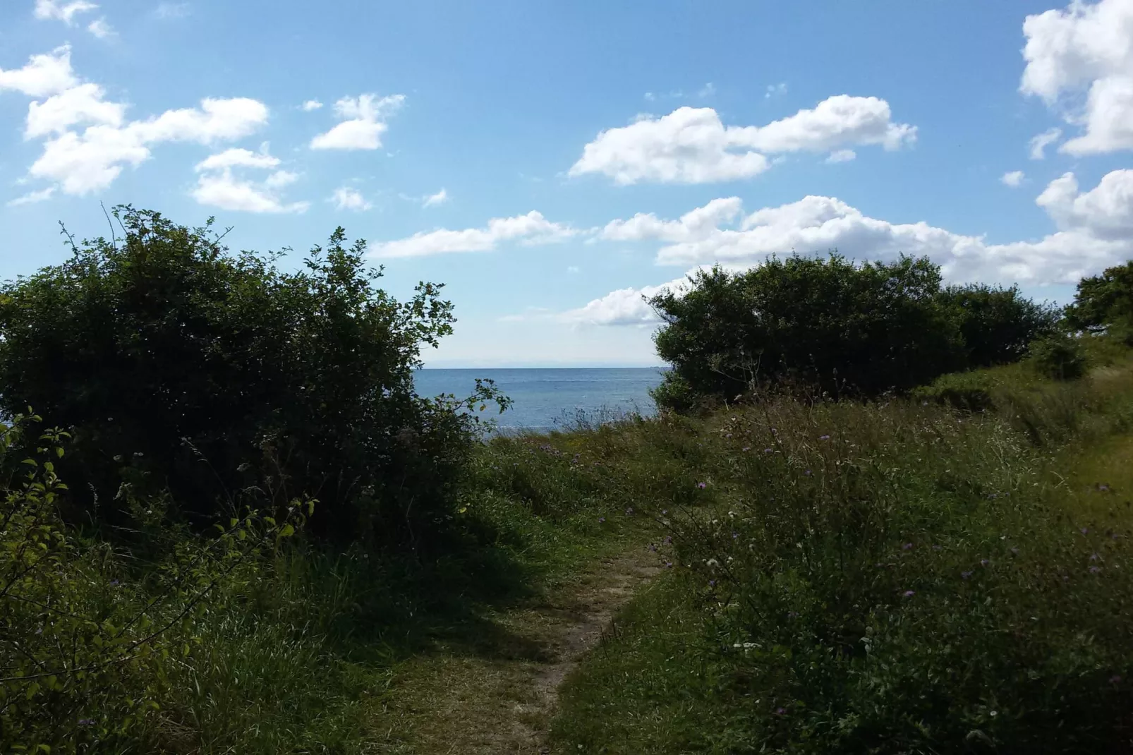 12 persoons vakantie huis in Idestrup-Waterzicht