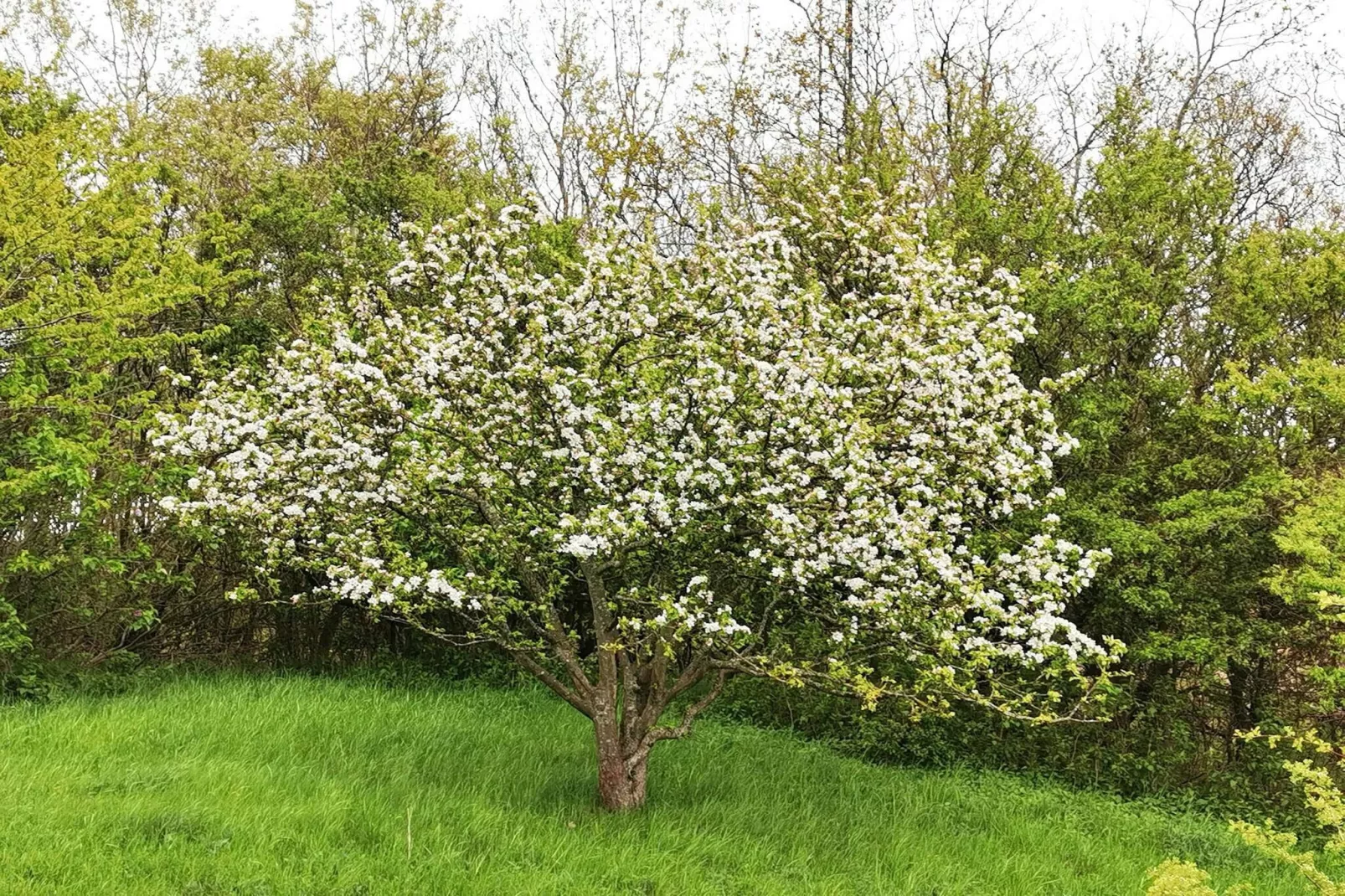 6 persoons vakantie huis in Tranekær-By Traum-Niet-getagd