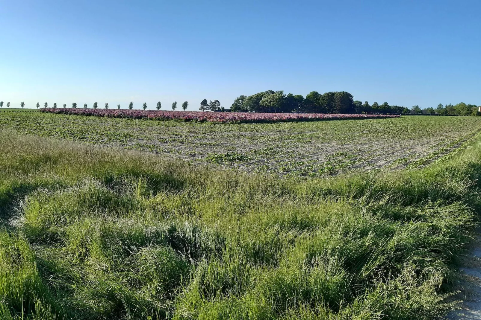 4 persoons vakantie huis in Nakskov-By Traum-Niet-getagd