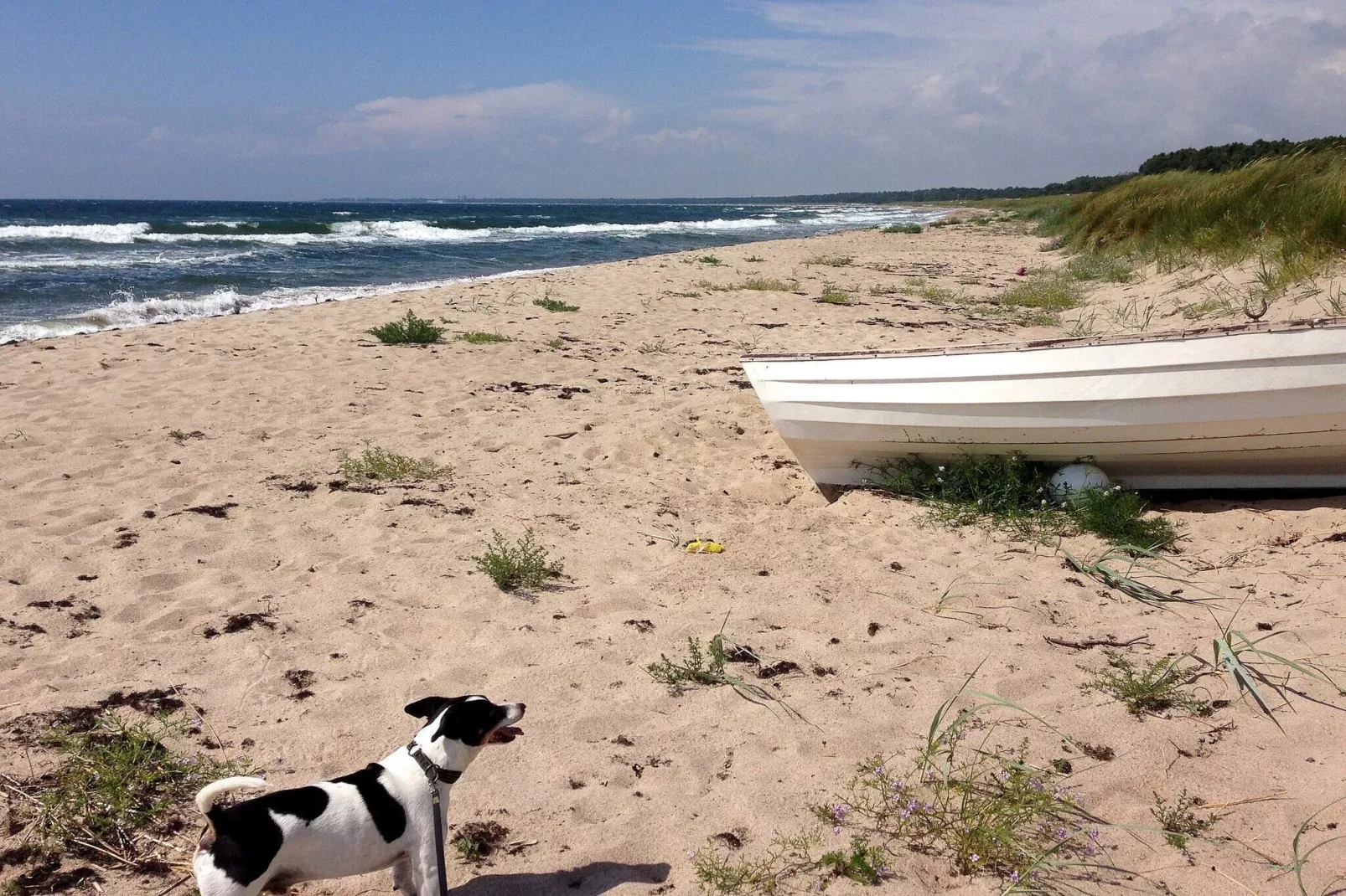 4 persoons vakantie huis in YSTAD-By Traum-Waterzicht