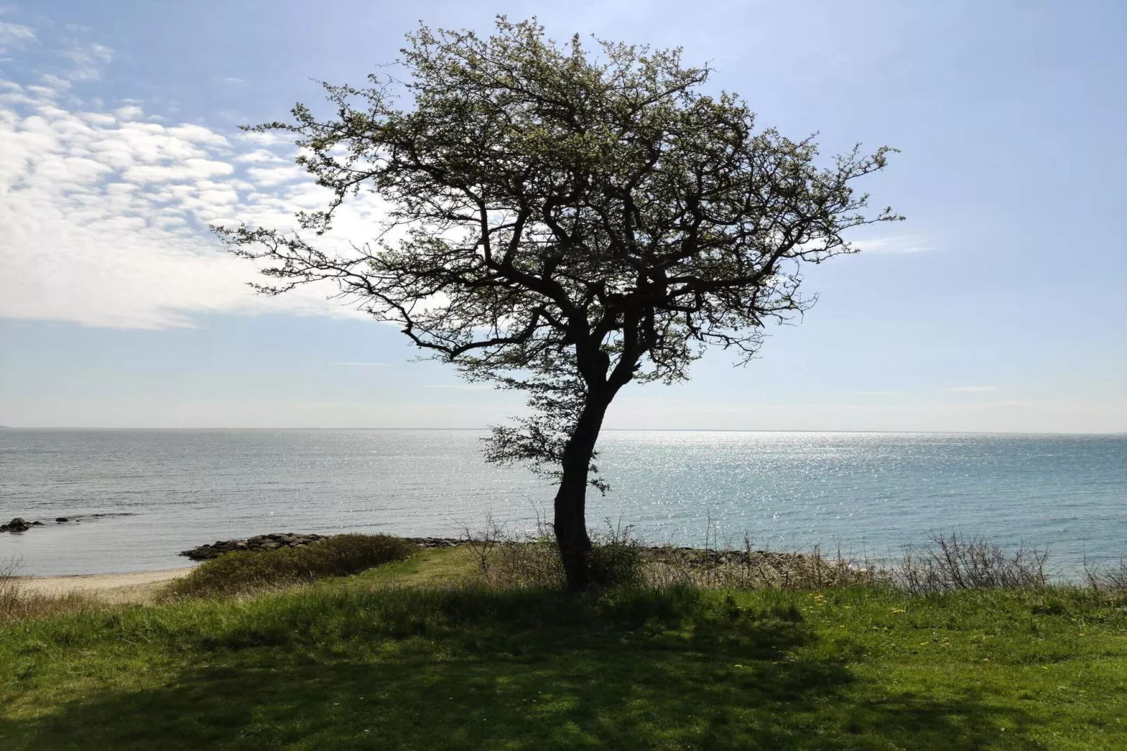 6 persoons vakantie huis in Juelsminde-By Traum-Niet-getagd