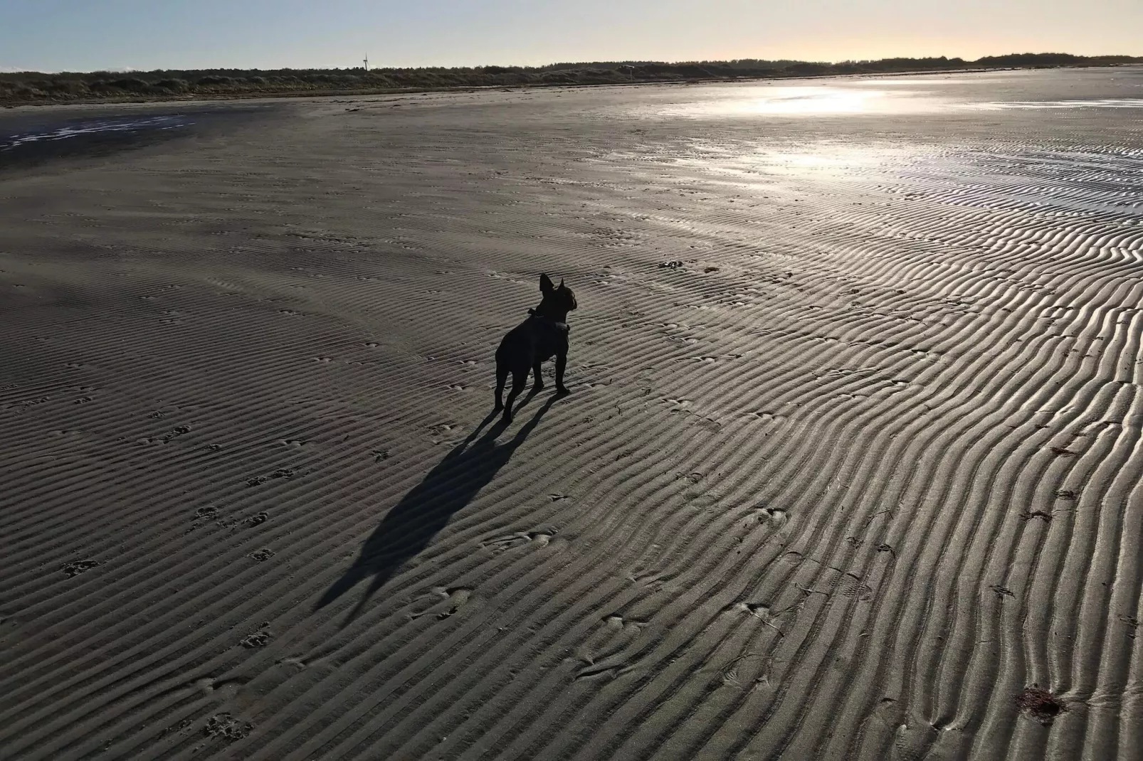 6 persoons vakantie huis in Læsø-By Traum-Waterzicht
