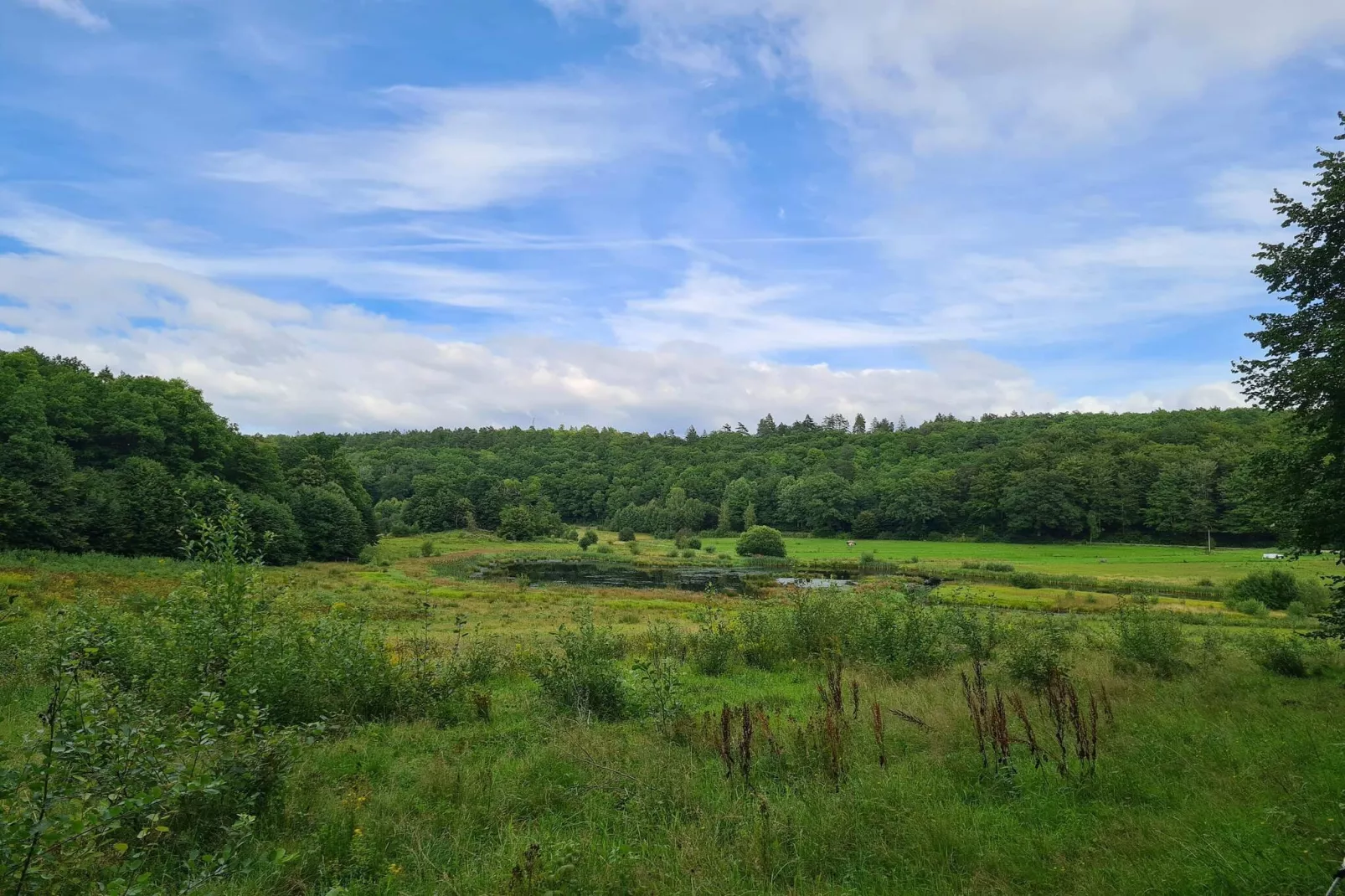 6 persoons vakantie huis in Bindslev-By Traum-Niet-getagd