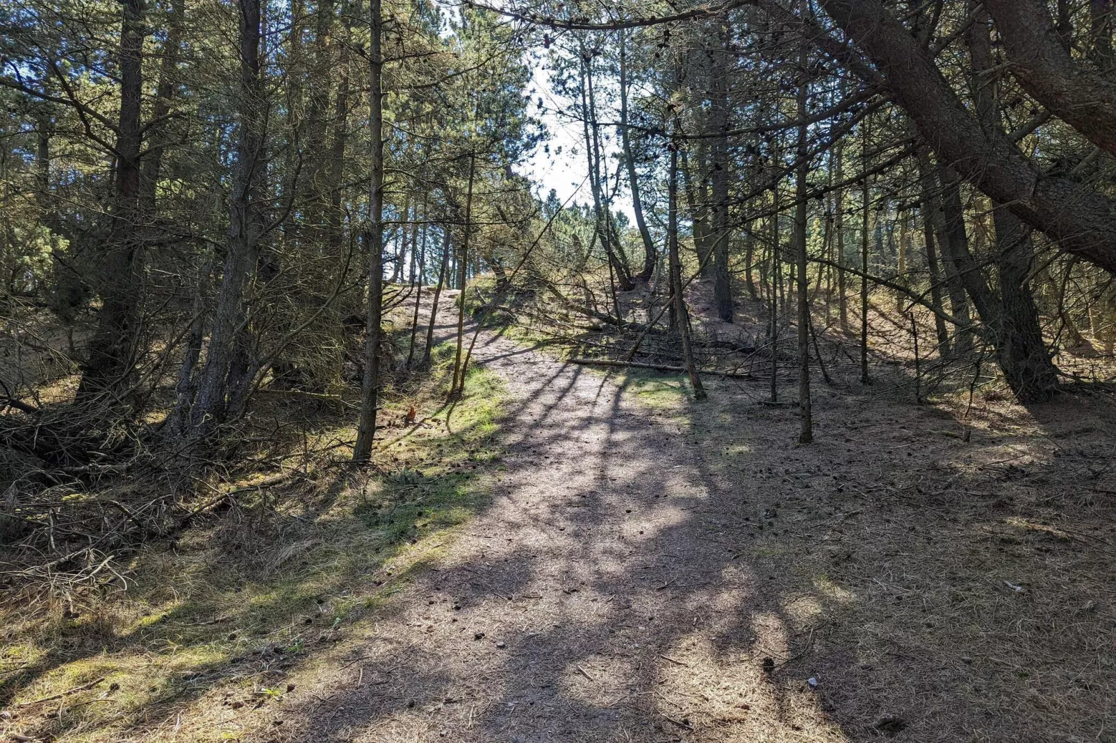 6 persoons vakantie huis in Rømø-By Traum-Niet-getagd