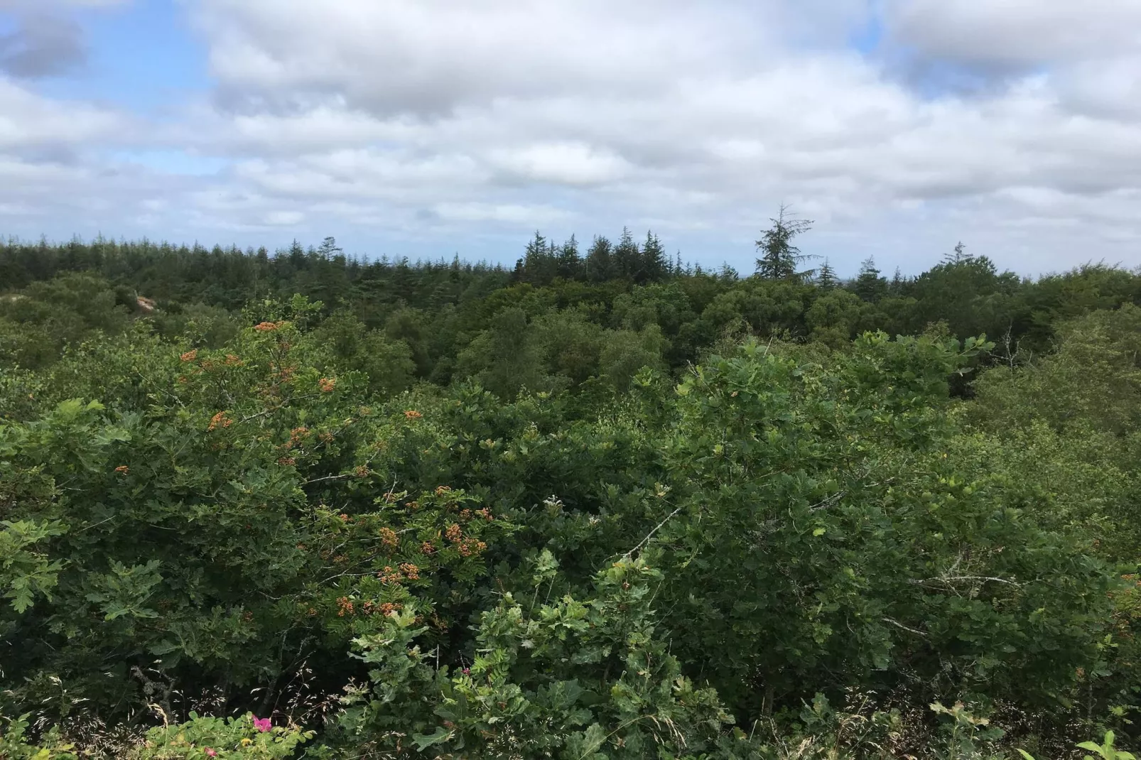 4 persoons vakantie huis in Oksbøl-By Traum-Niet-getagd