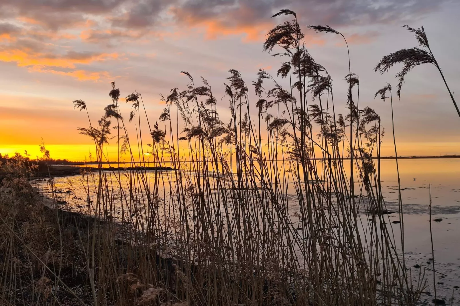 10 persoons vakantie huis in Storvorde-By Traum-Waterzicht