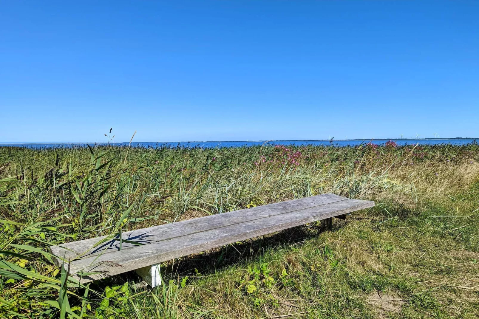 4 persoons vakantie huis in Ulfborg-By Traum-Niet-getagd