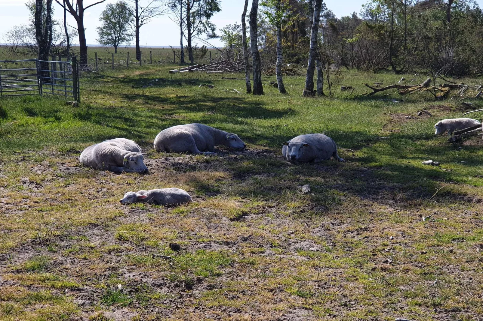 6 persoons vakantie huis in Hadsund-Niet-getagd