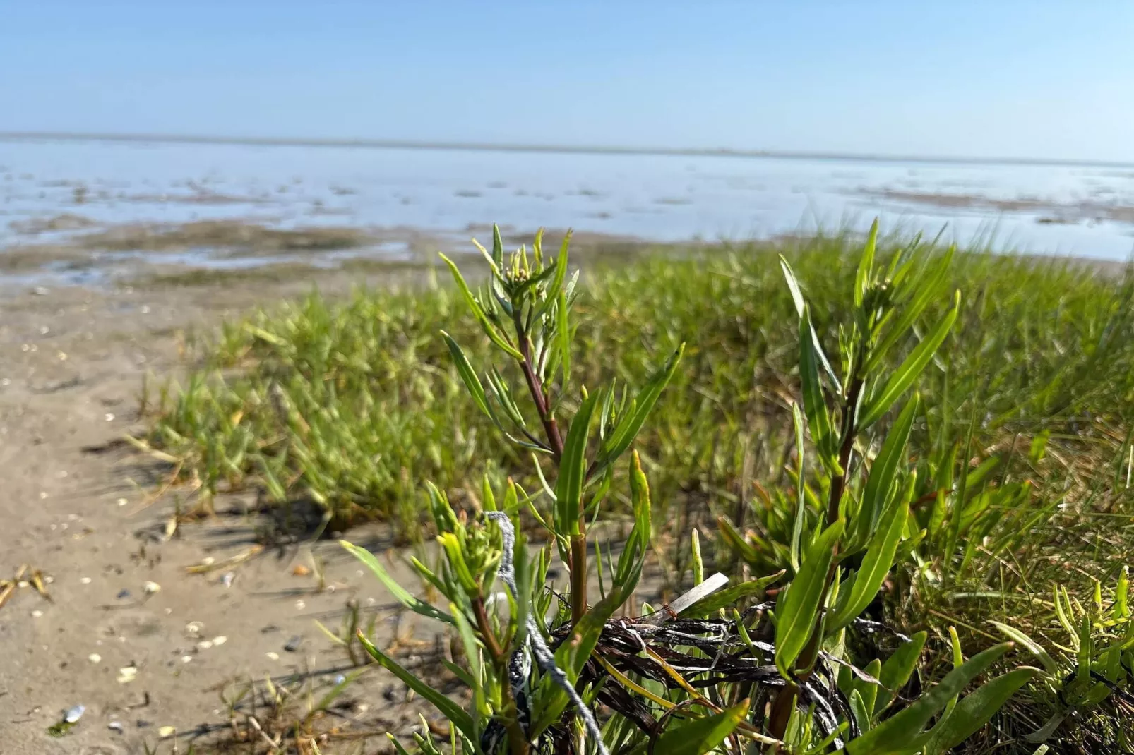 Kust ontsnapping met zwembad -- By Traum Ferienwohnungen-Waterzicht