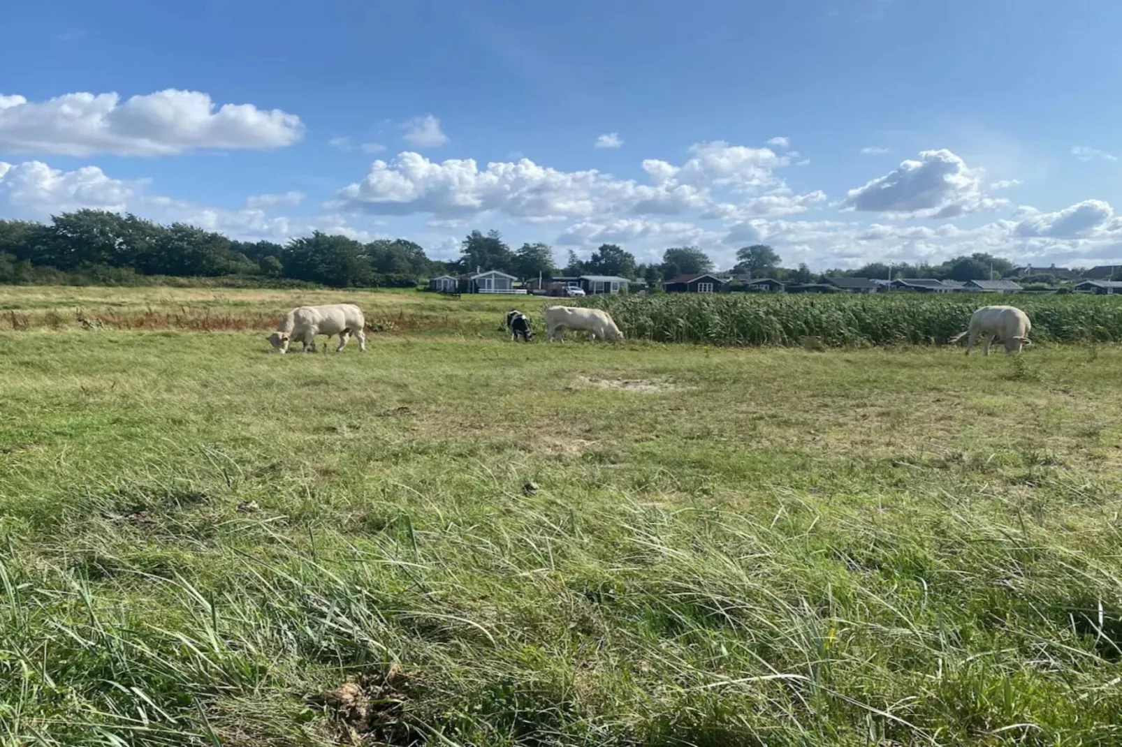 Luxe strandhuis met zwembad -- By Traum Ferienwohnungen-Niet-getagd