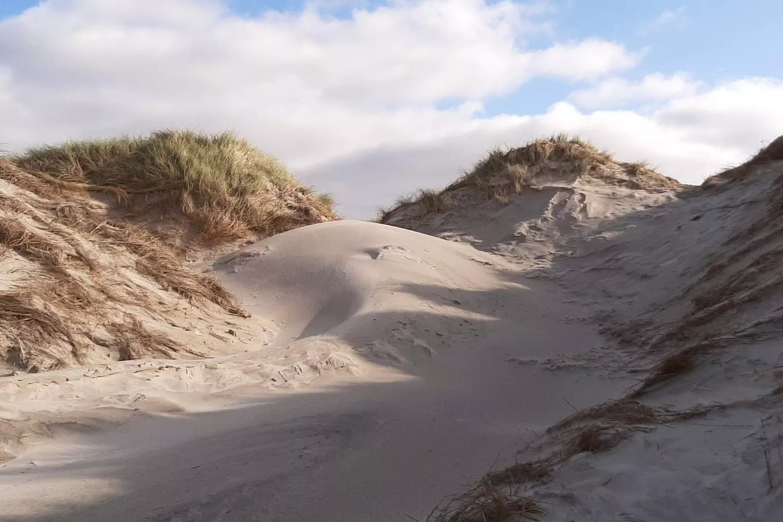 Licht strandhuis met sauna -- By Traum Ferienwohnungen