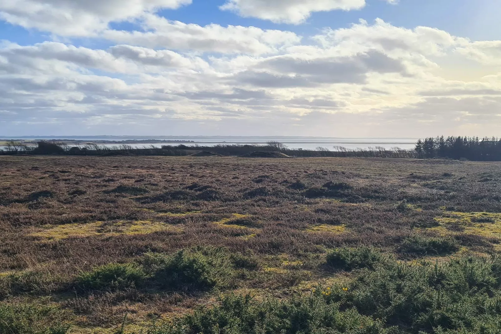 8 persoons vakantie huis in Hurup Thy-By Traum-Niet-getagd