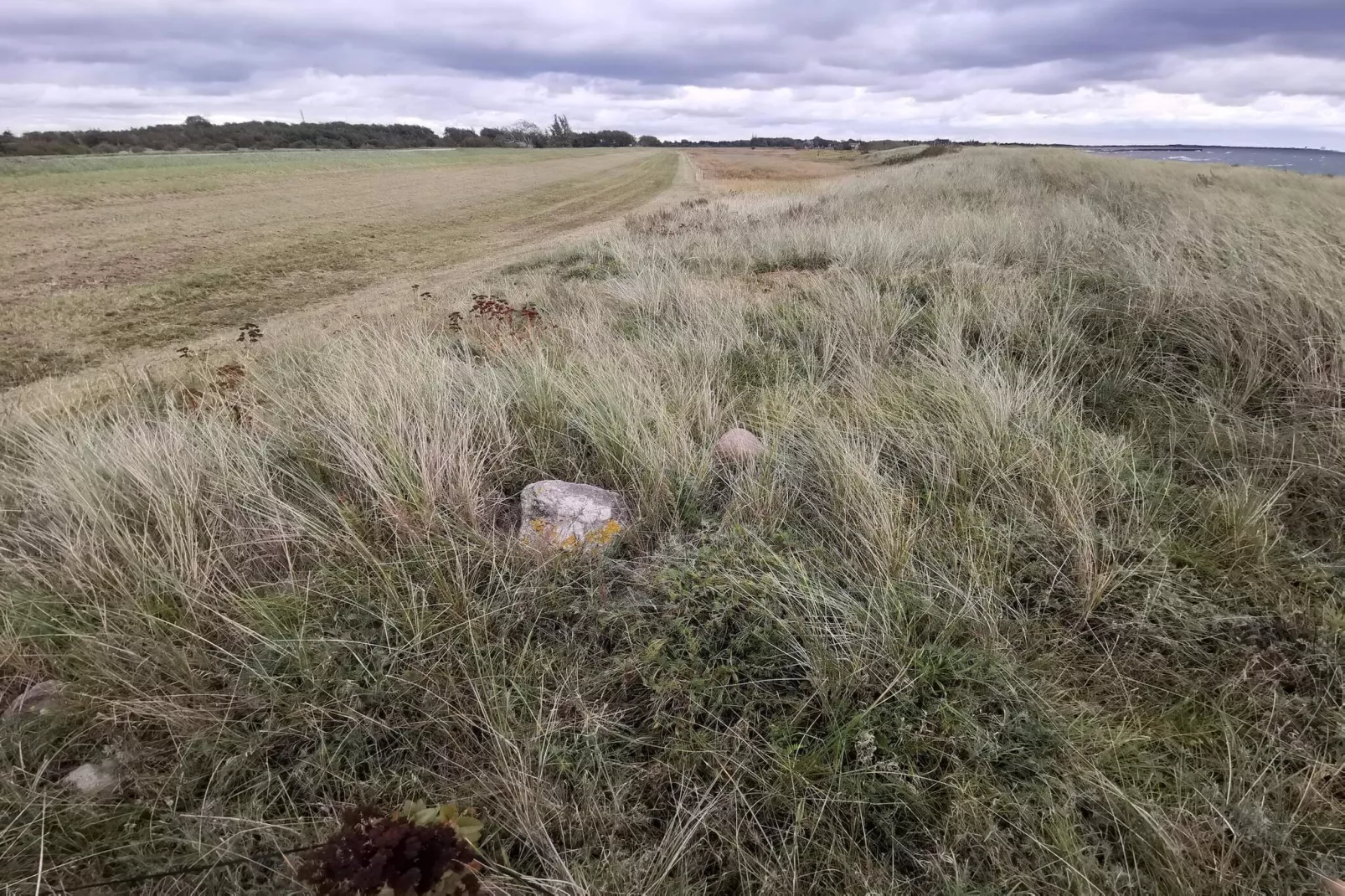 8 persoons vakantie huis in Dannemare-By Traum-Niet-getagd