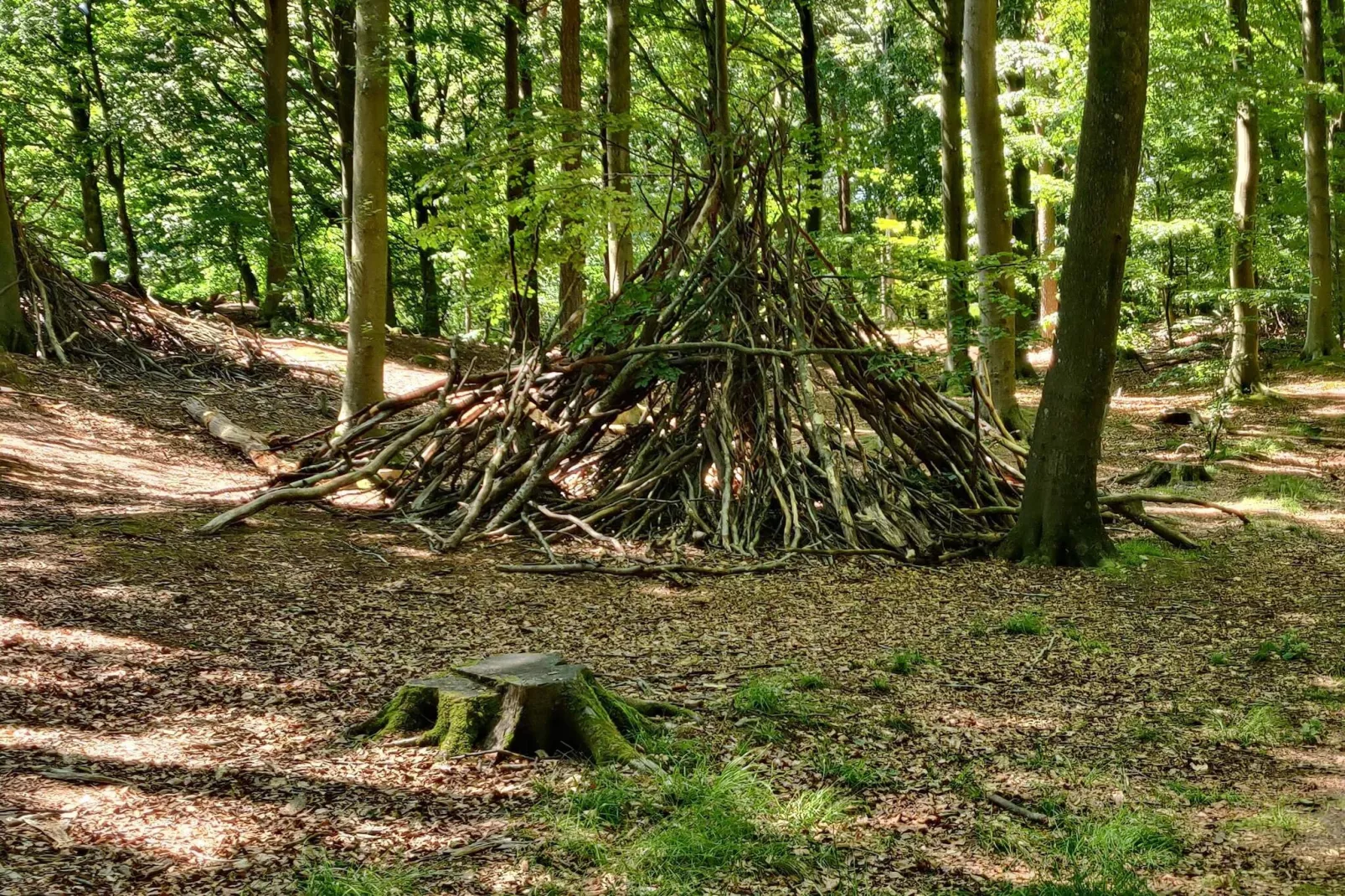 4 persoons vakantie huis in Oksbøl-By Traum-Niet-getagd