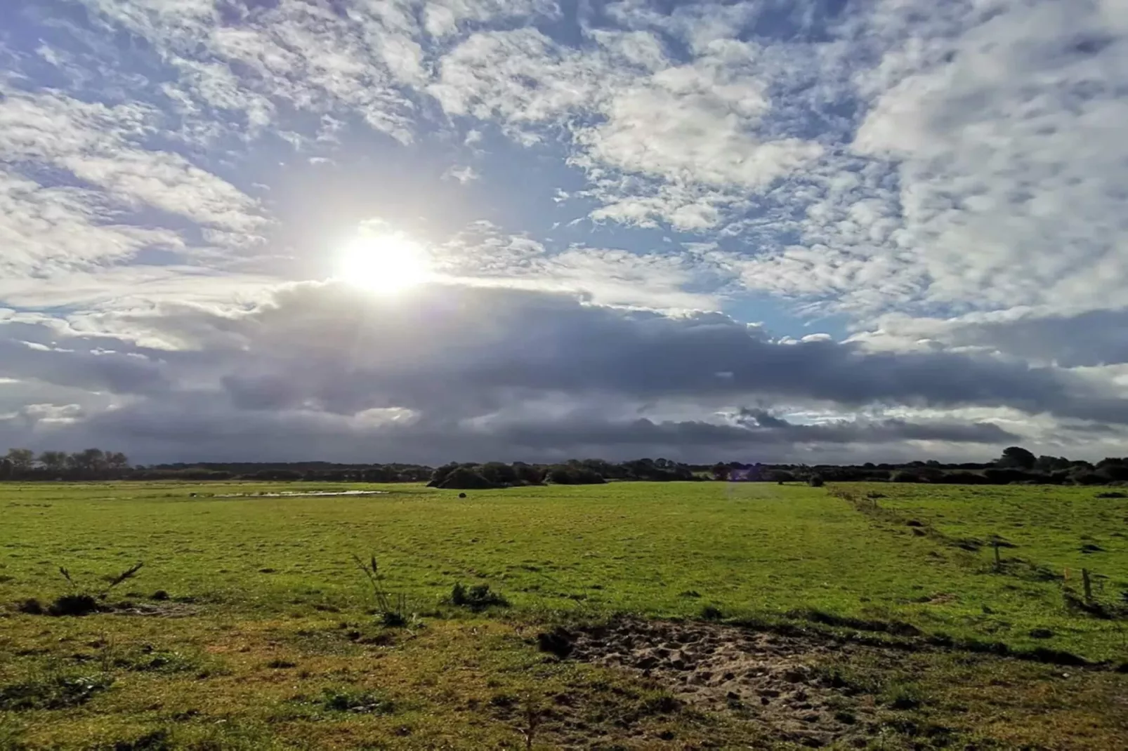 30 persoons vakantie huis in Nordborg-By Traum-Niet-getagd