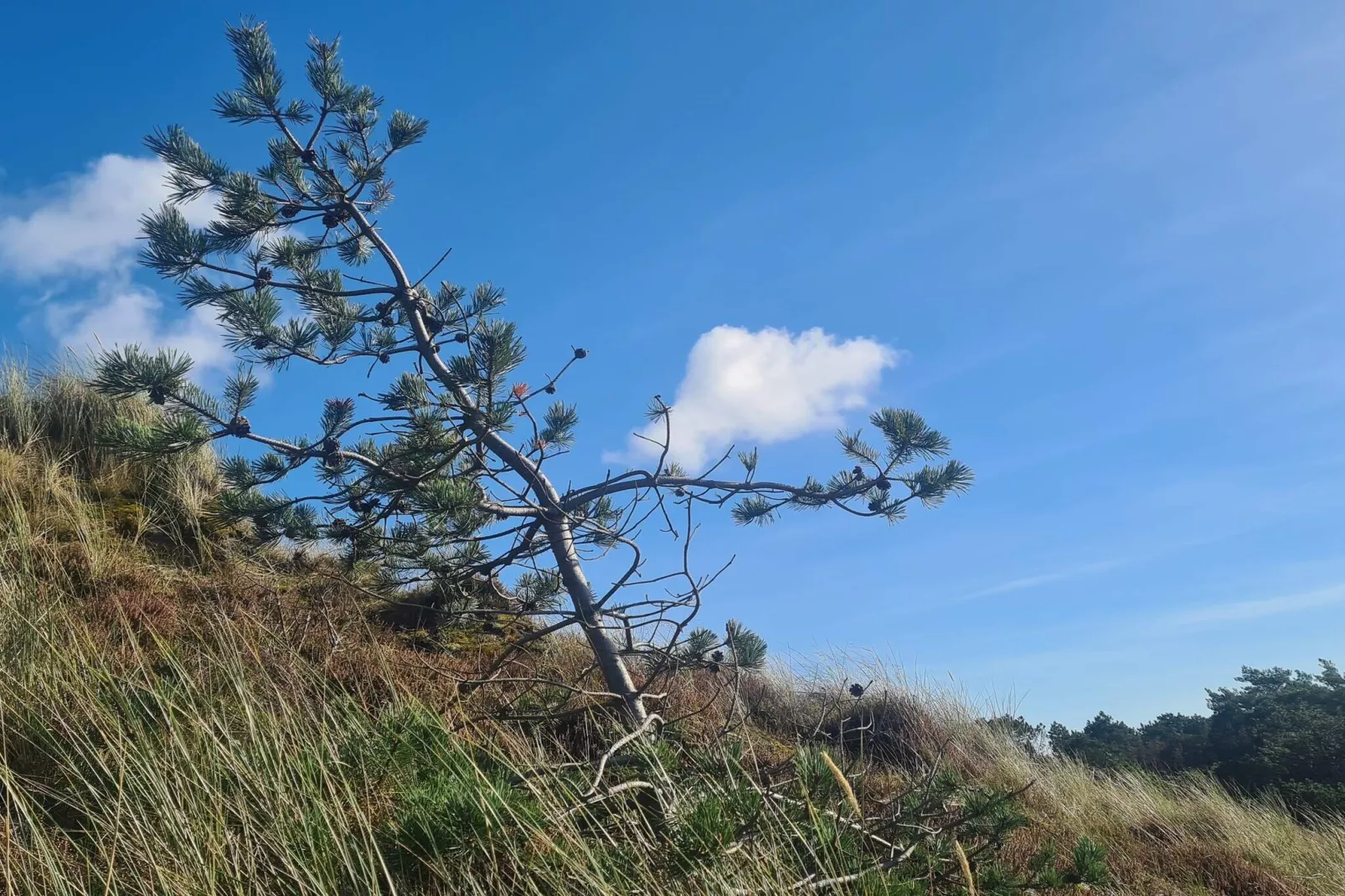 Luxe retraite met zwembad -- By Traum Ferienwohnungen-Niet-getagd