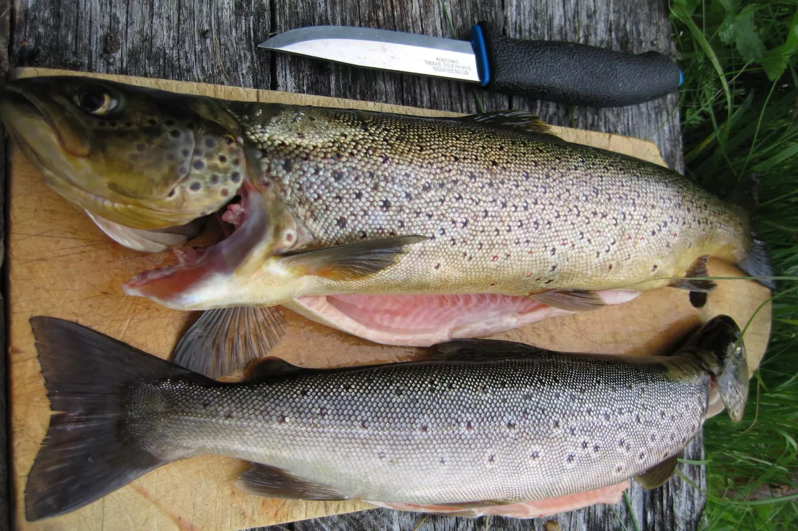 MELKEDALEN 99910-Niet-getagd