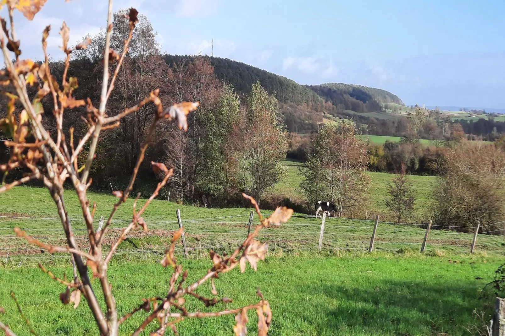 Honnay-Gebieden zomer 1km
