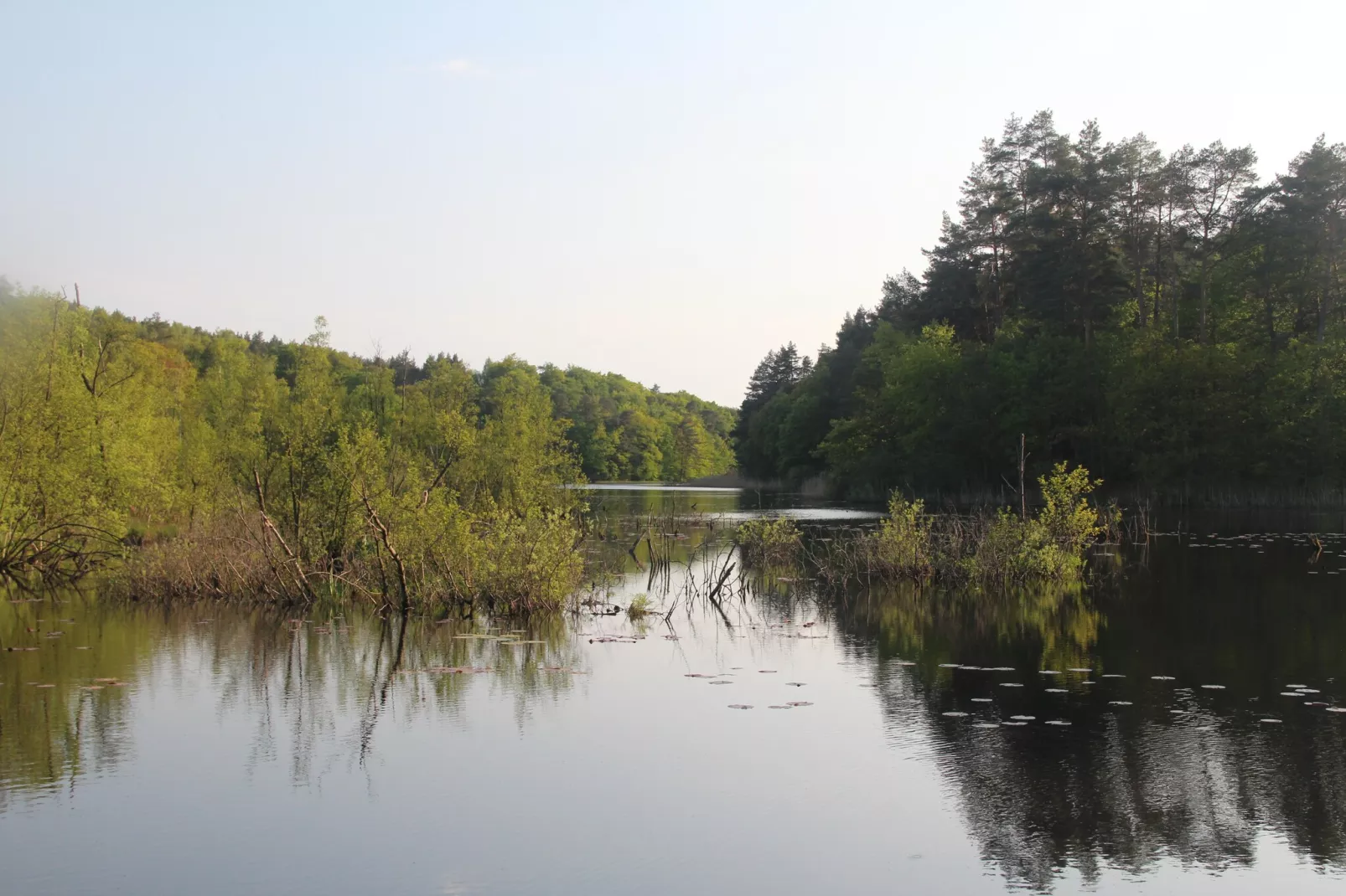 Holiday flat in Kolczewo70 qm for 6 persons-Gebieden zomer 1km