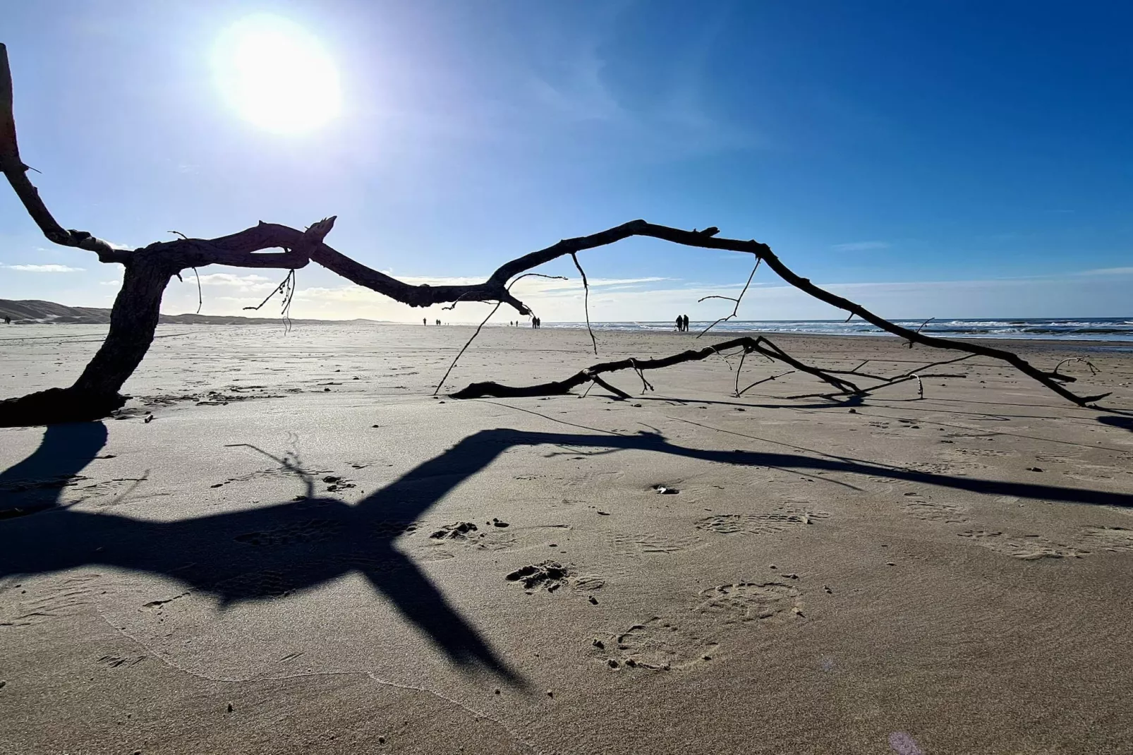 6 persoons vakantie huis in Saltum-By Traum-Niet-getagd