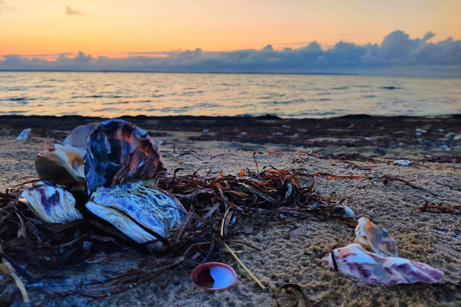 Modern huis met spa -- By Traum Ferienwohnungen-Waterzicht