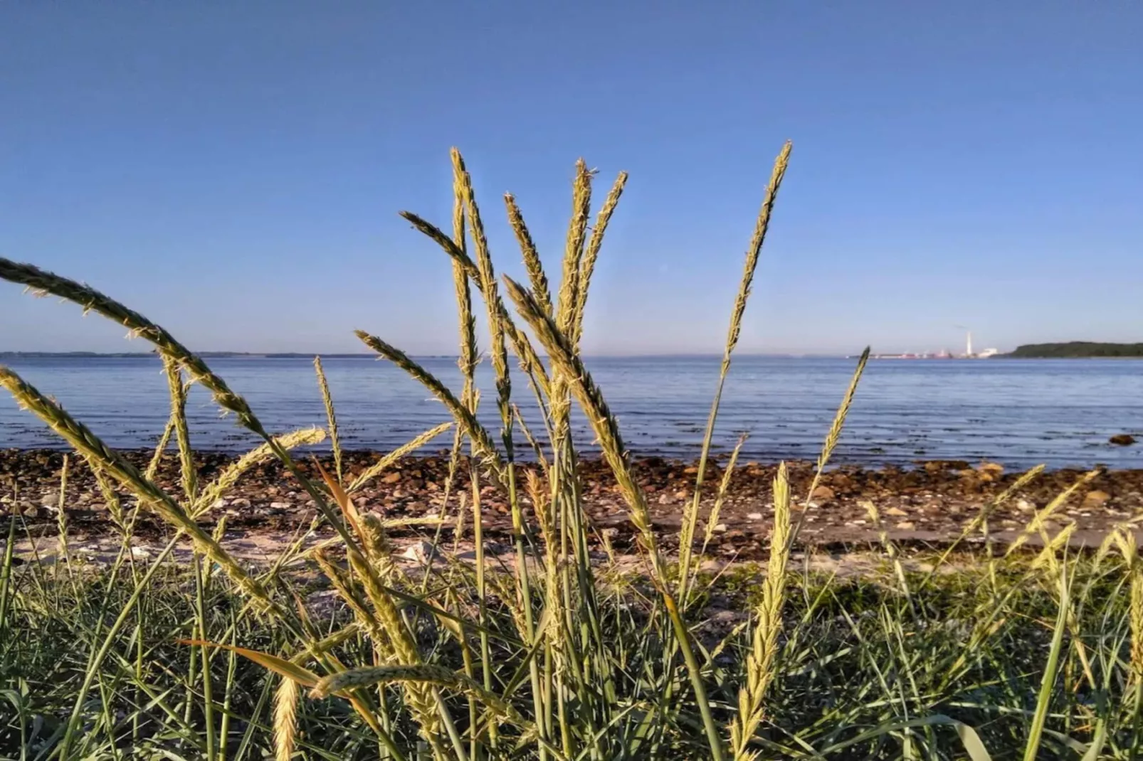 6 persoons vakantie huis in Rønde-By Traum-Waterzicht