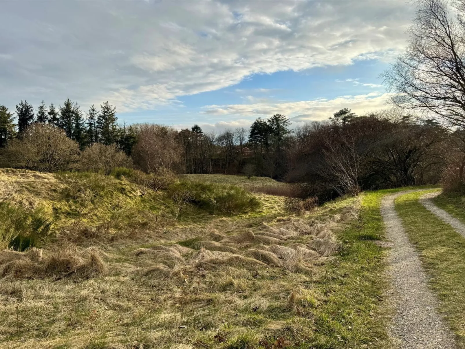 "Skammel" - 900m from the sea-Buiten