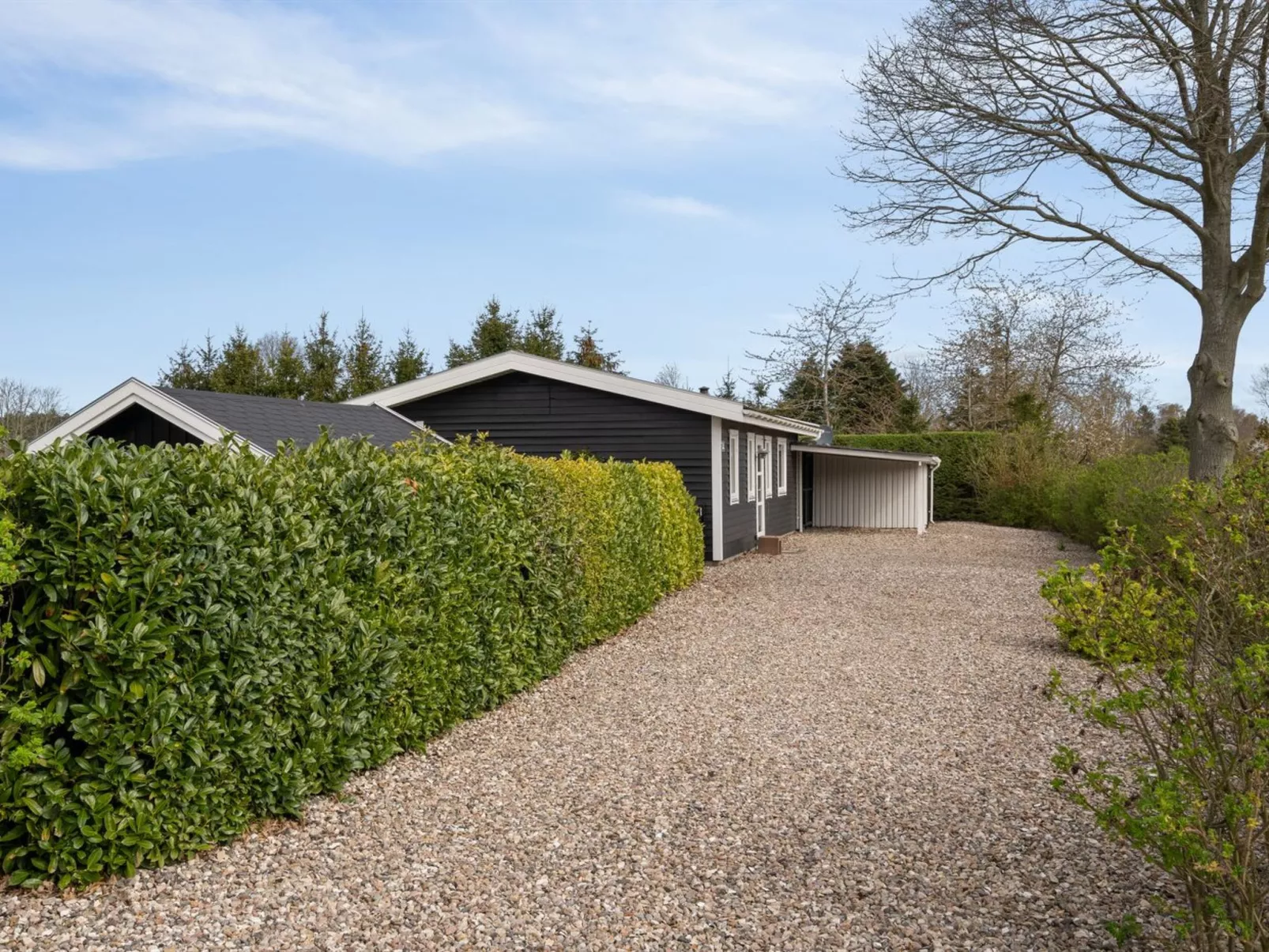 "Verneri" - 300m from the sea-Buiten