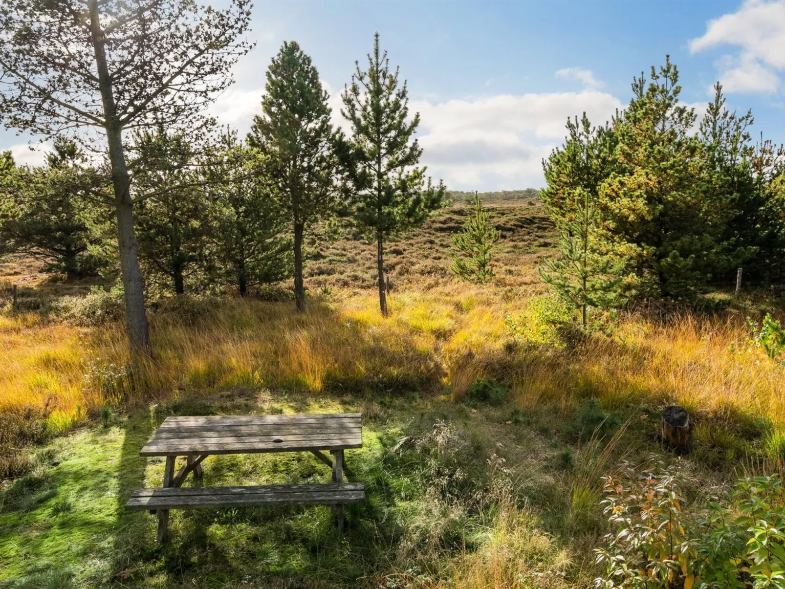 "Ilona" - 2km from the sea-Buiten