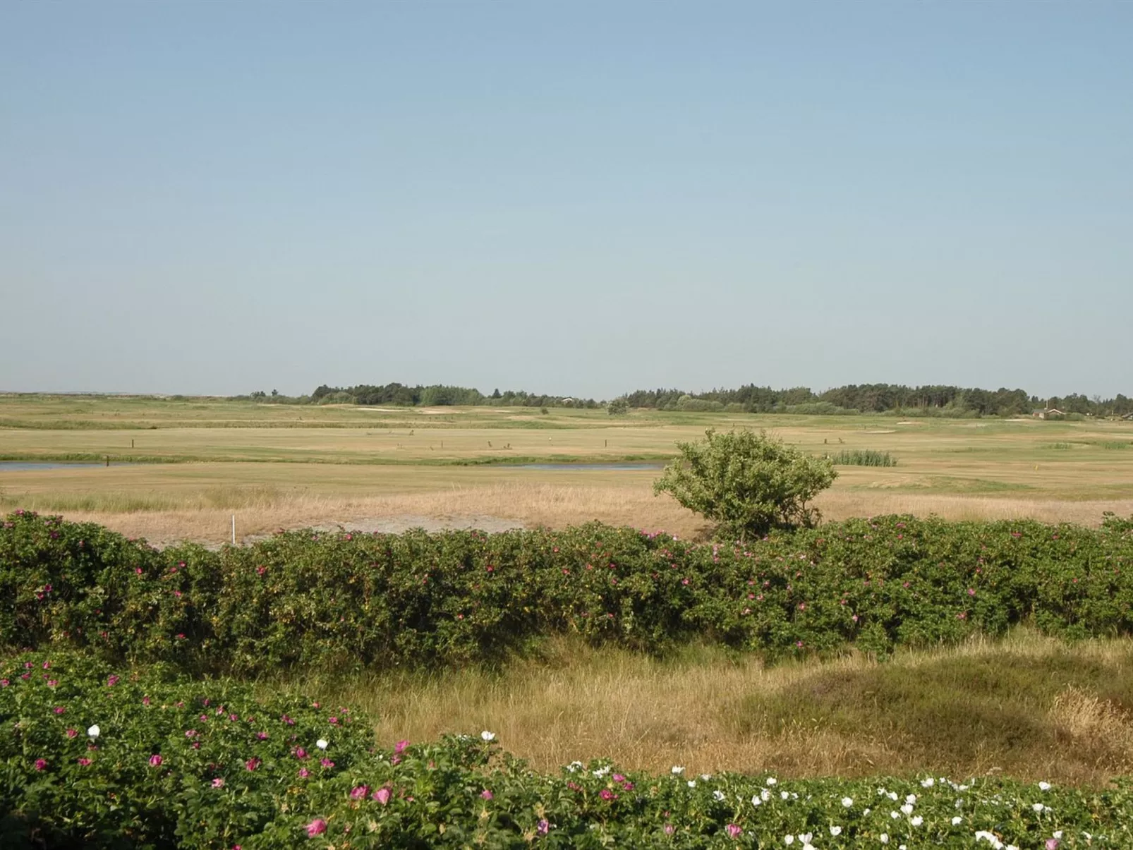 "Ennike" - 2.3km from the sea - Buiten