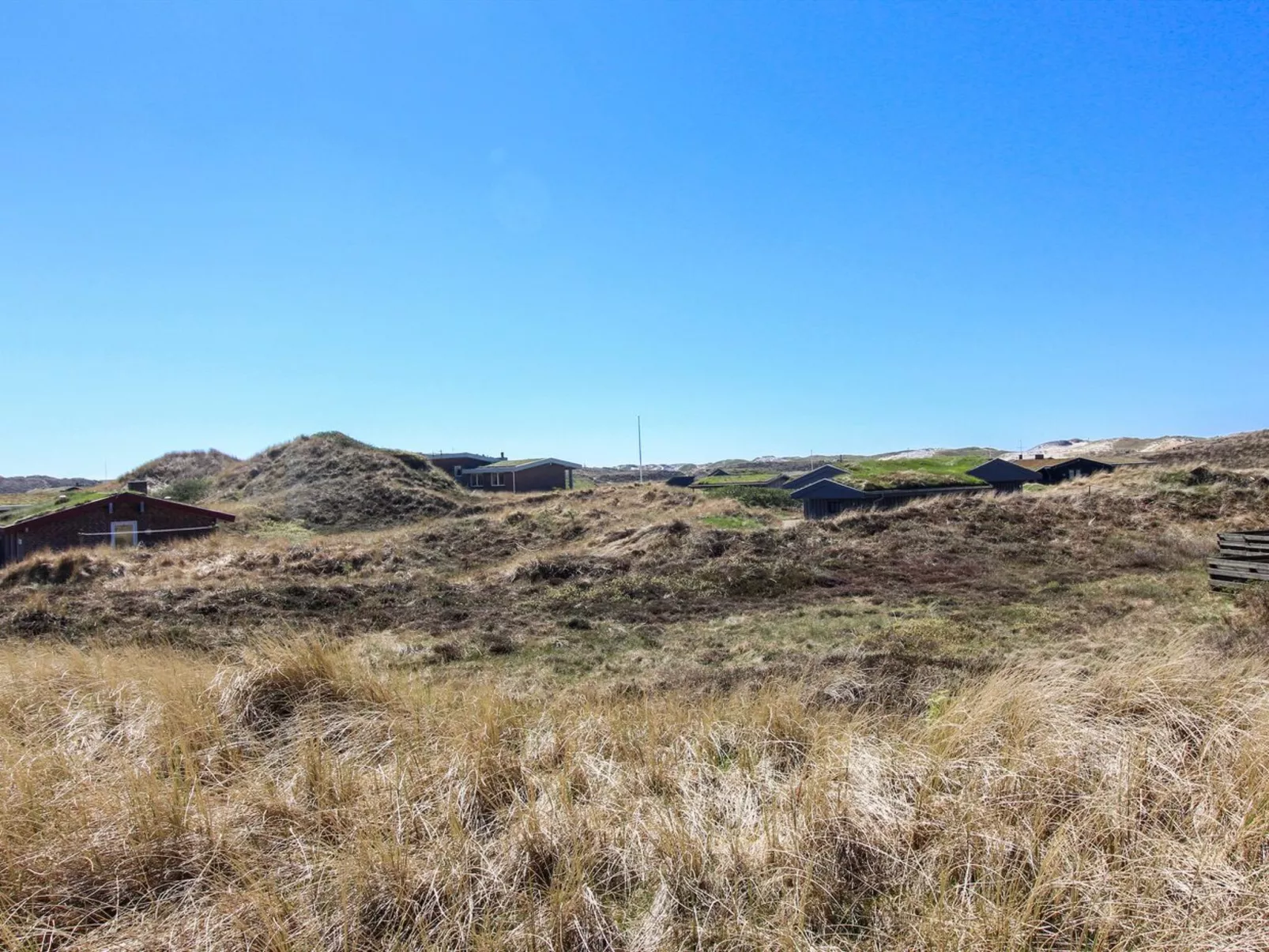 "Gundine" -  from the sea-Buiten