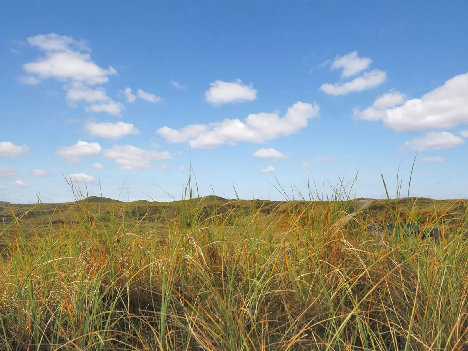 "Katha" -  from the sea-Buiten