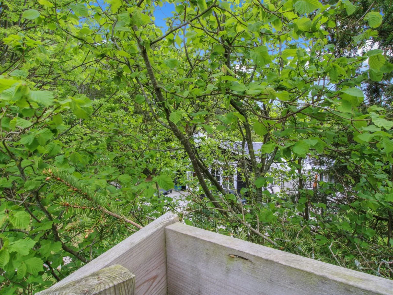 "Astrid" - 875m from the sea-Buiten