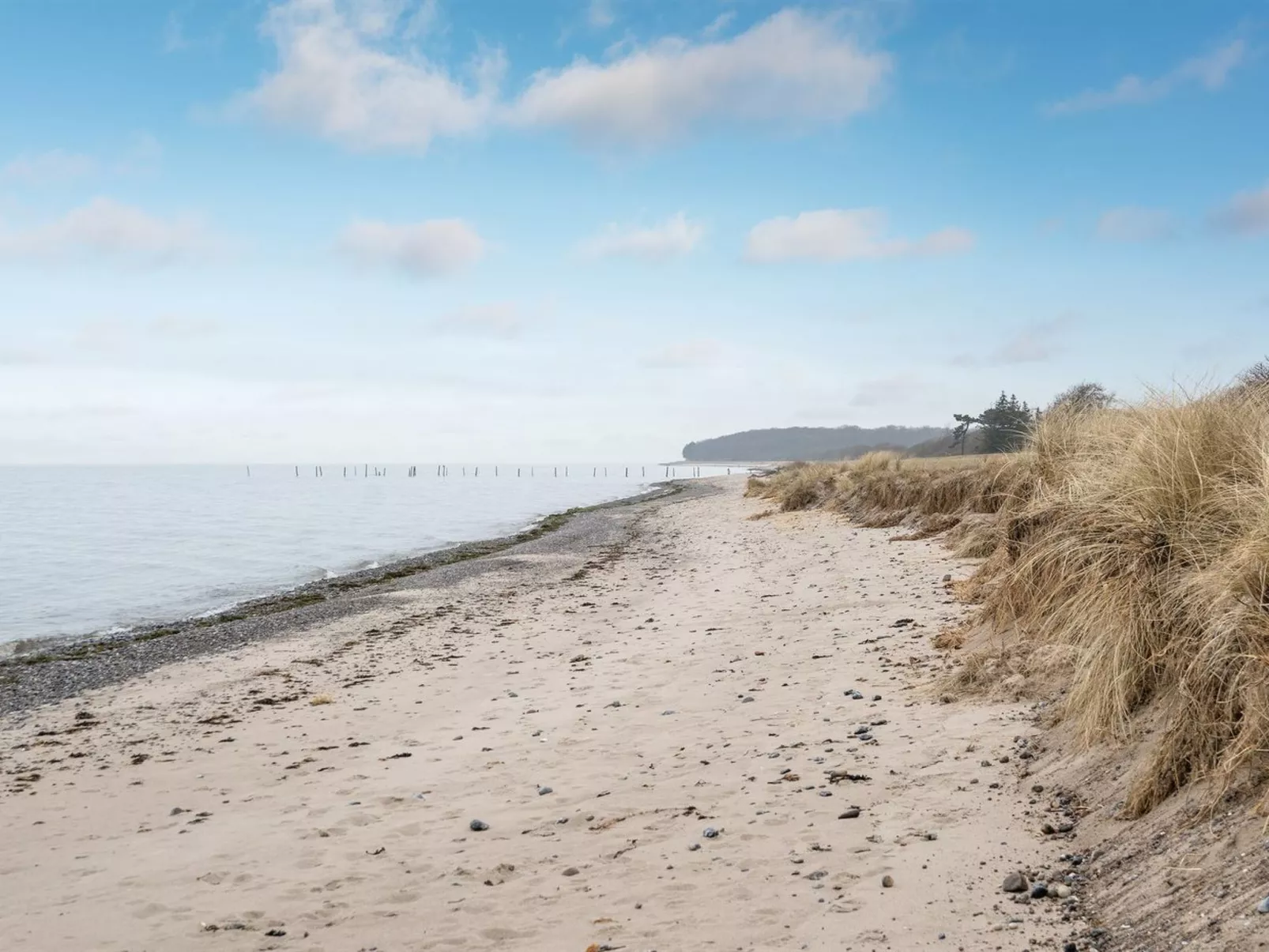 "Hattie" - 100m from the sea-Buiten