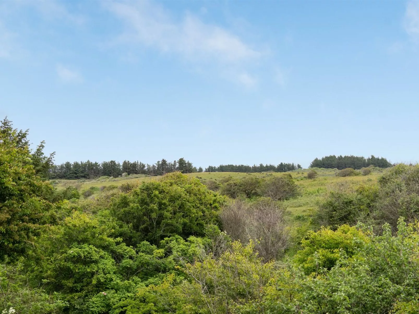 "Sorja" - 420m from the sea-Buiten