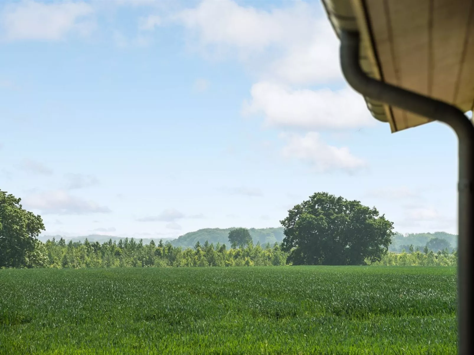 "Iorund" - 550m from the sea-Buiten