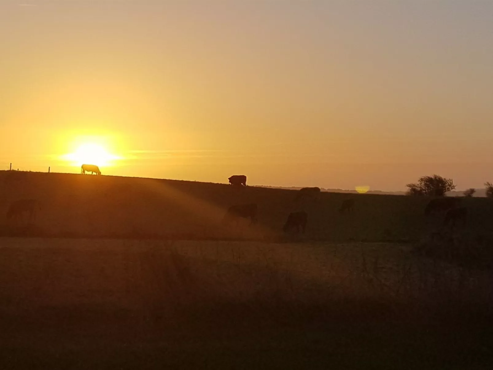 "Siebelt" - 200m from the sea-Buiten