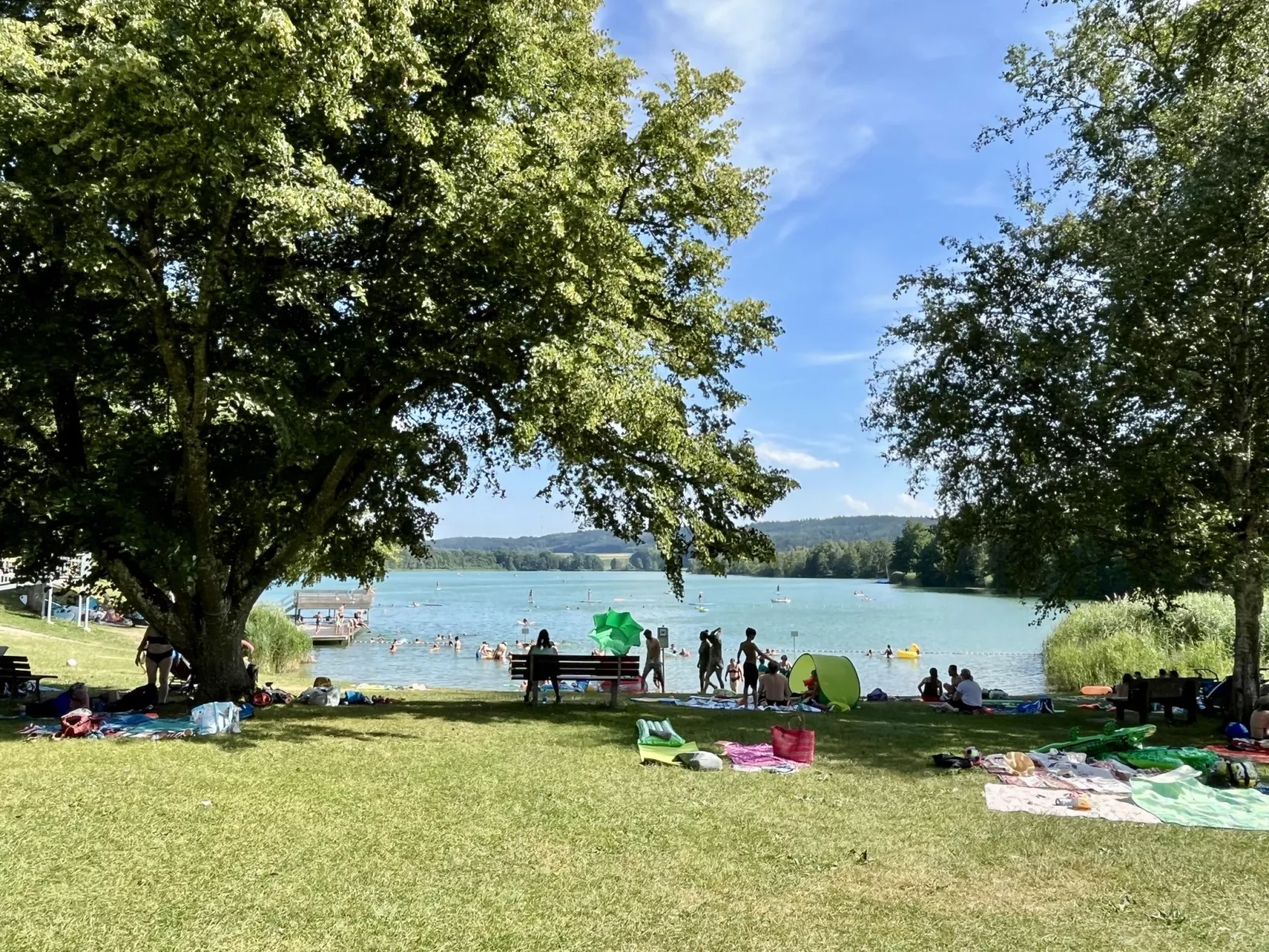 Riedblick I-Omgeving