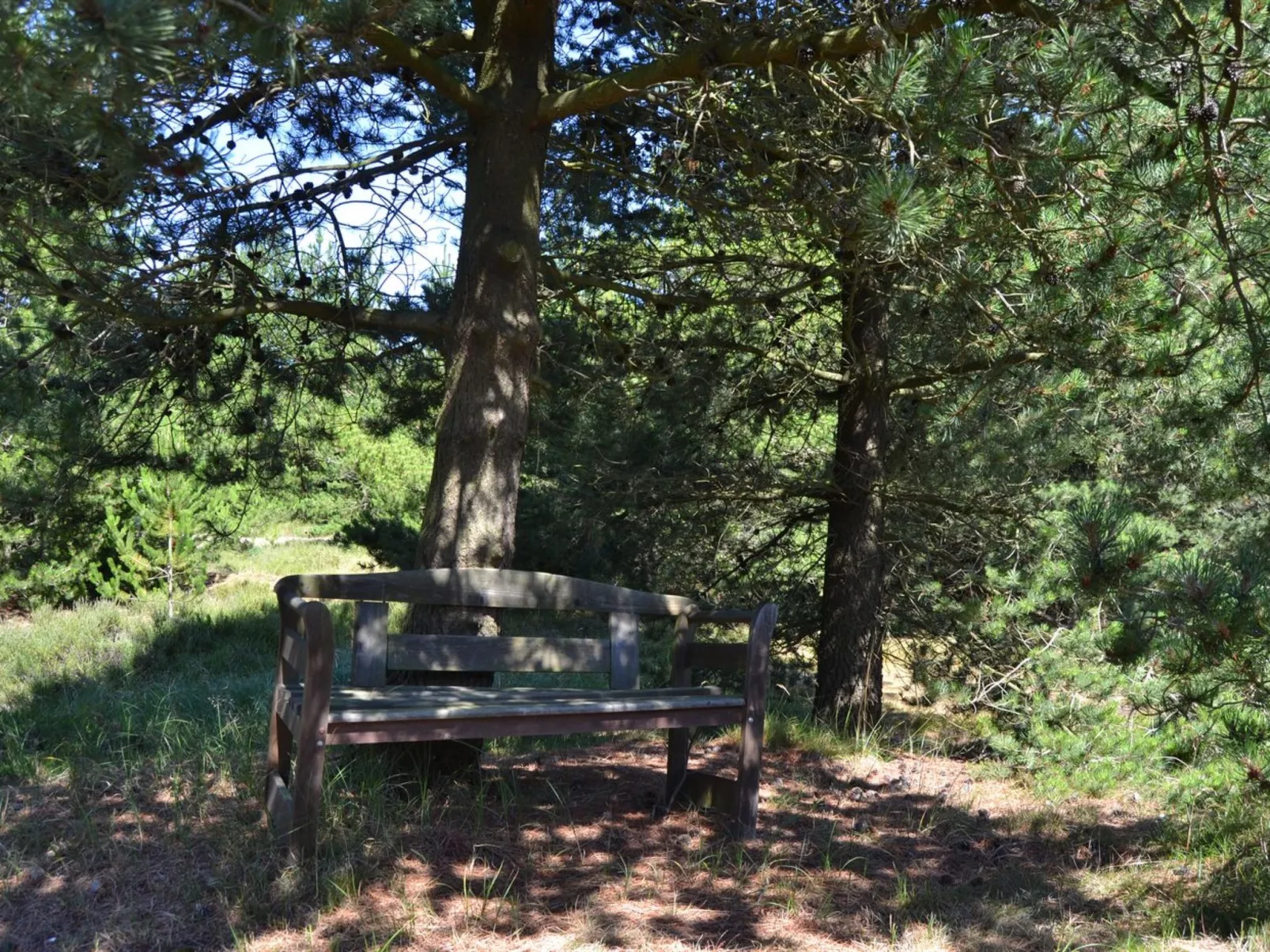 "Tirsa" - 3.9km from the sea-Buiten