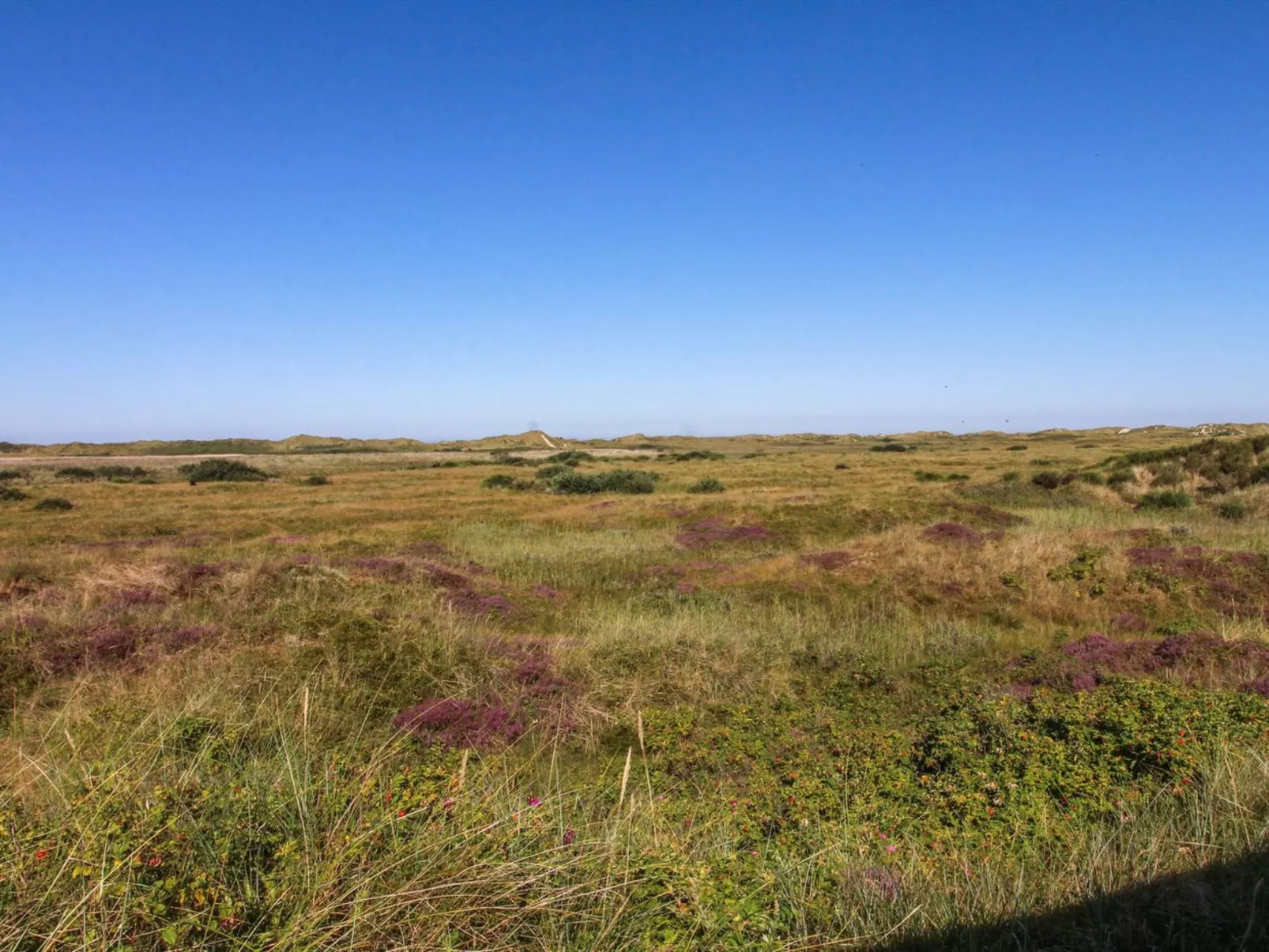 "Alim" - 300m from the sea-Buiten