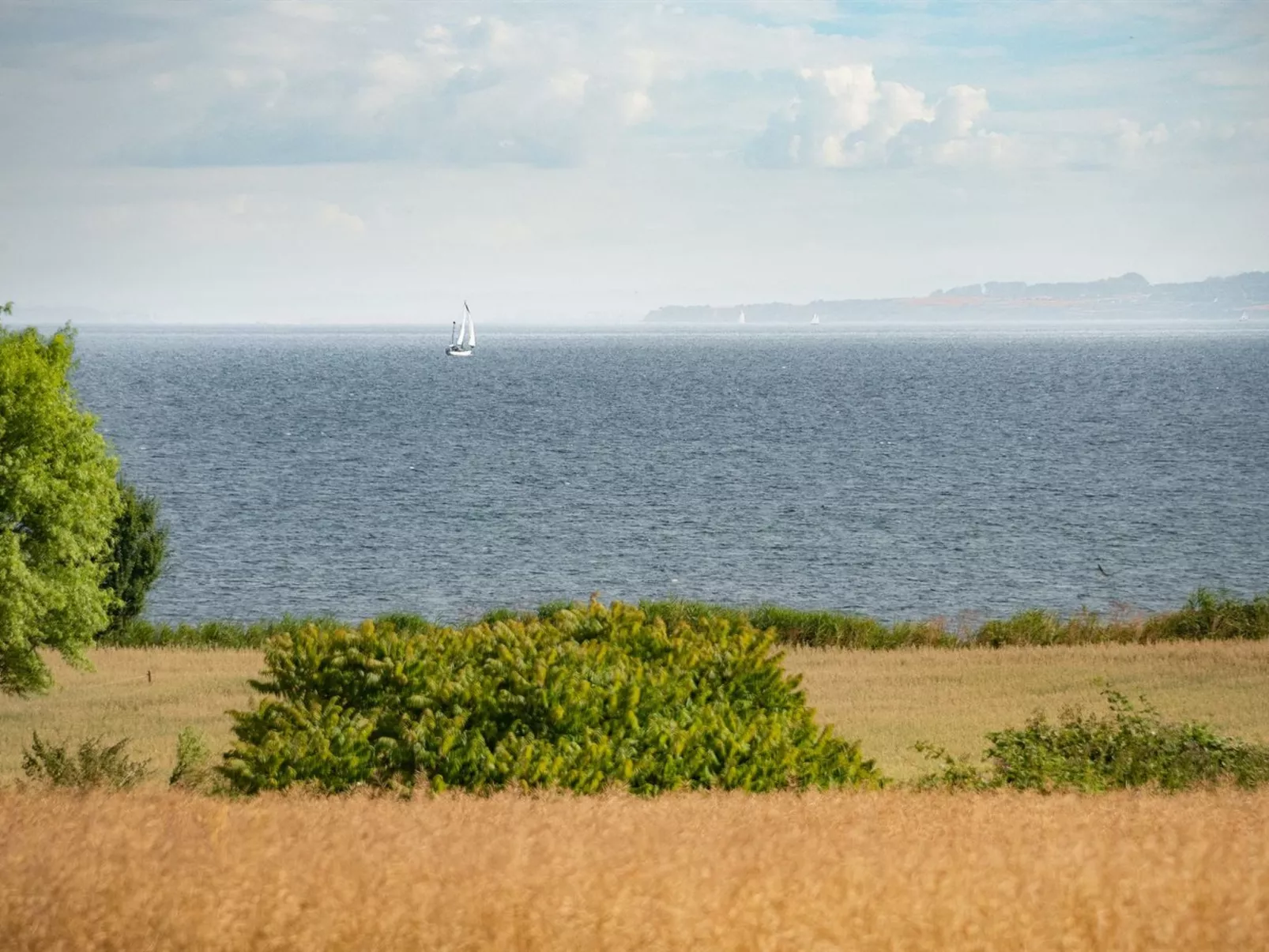 "Edithe" - 250m from the sea-Buiten