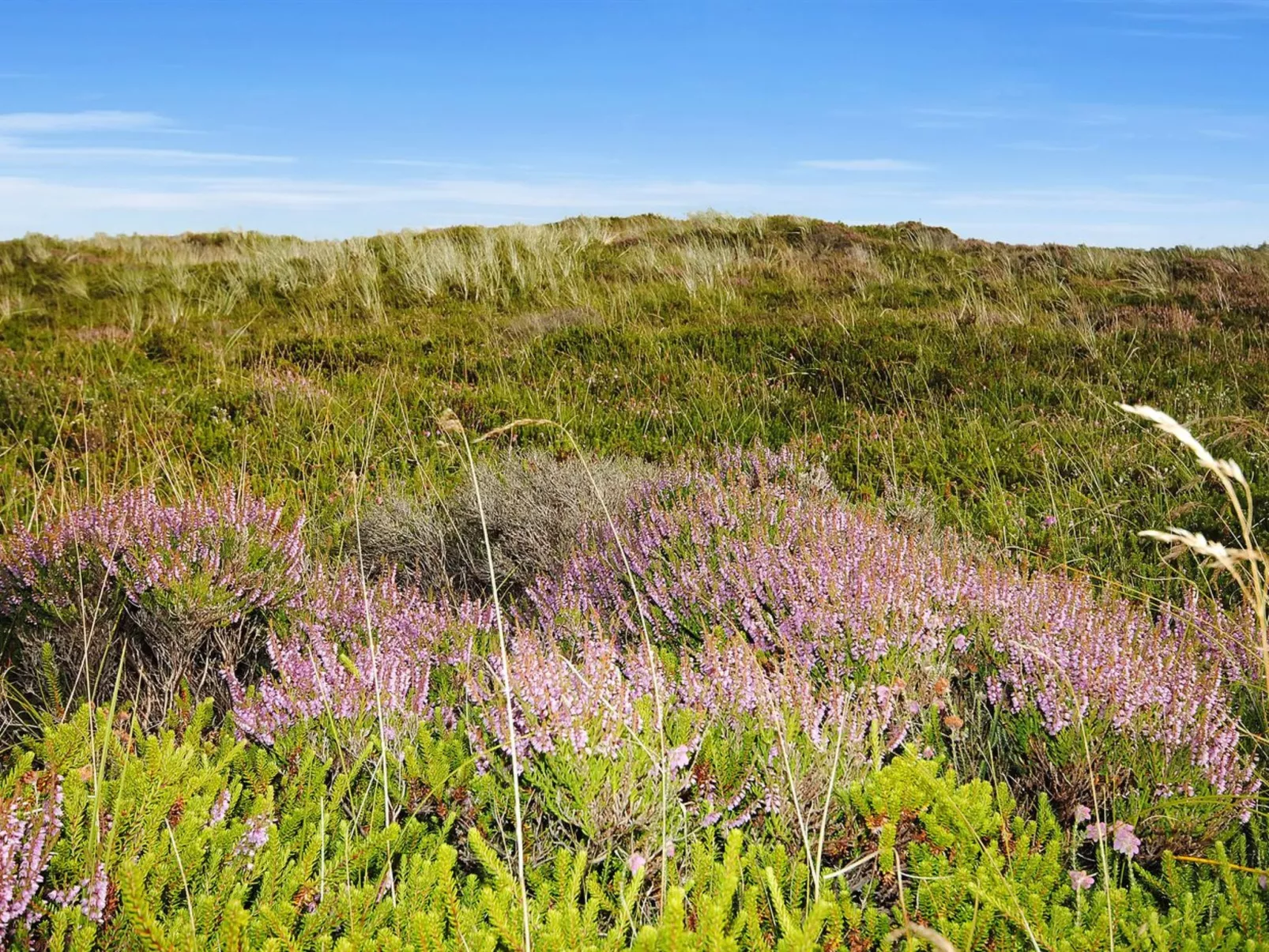 "Elsia" - 1.5km to the fjord-Buiten