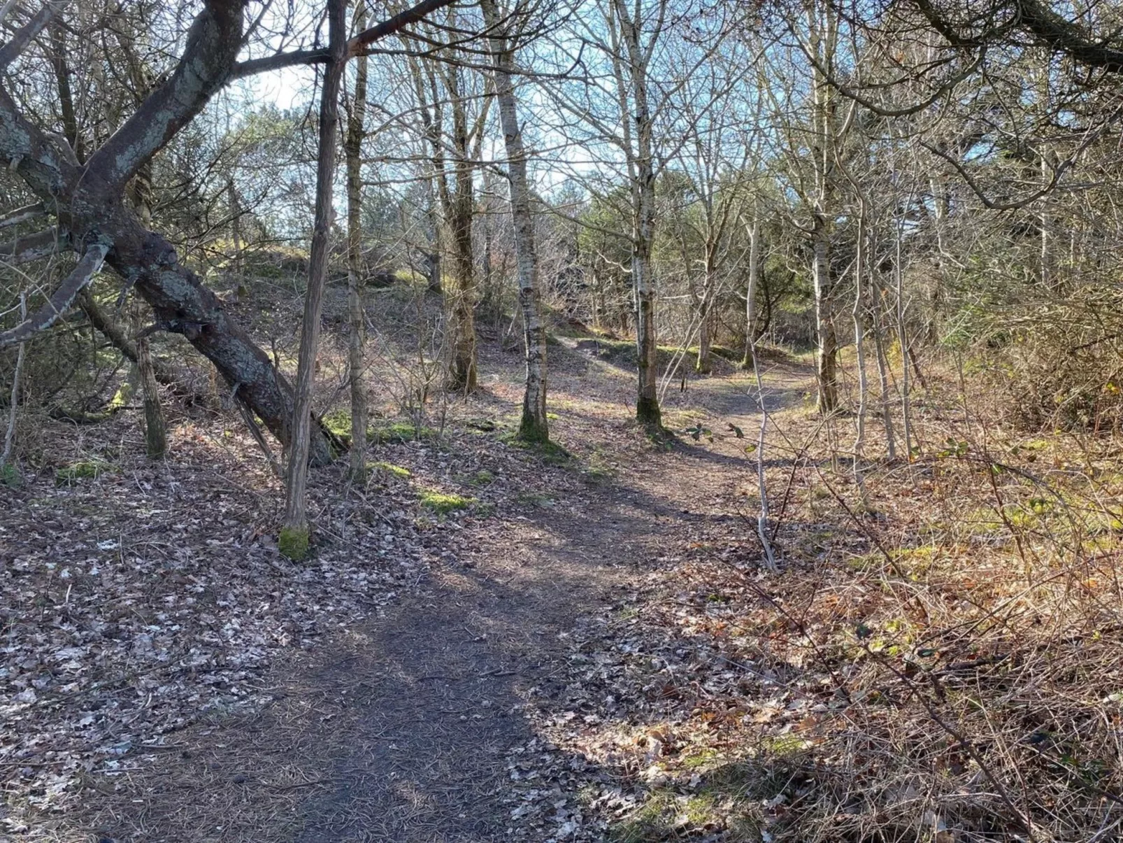 "Karlsefni" - 600m to the fjord-Buiten