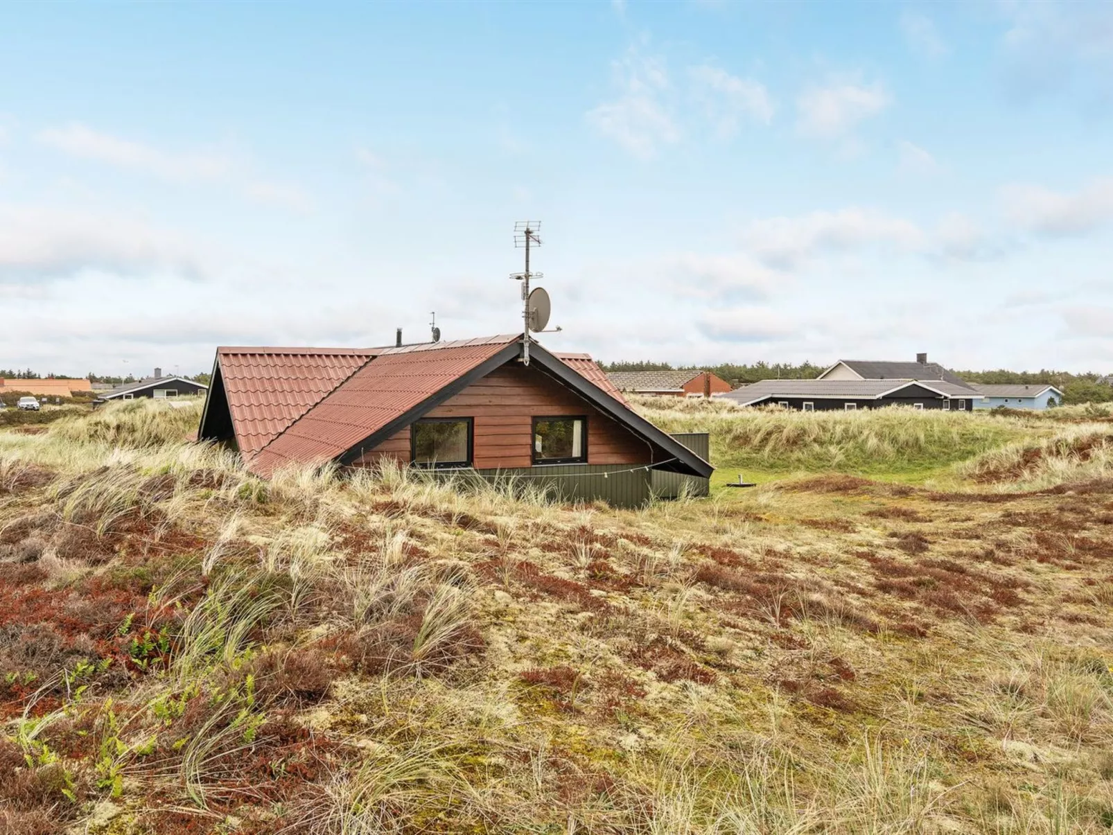 "Ardan" -  from the sea-Buiten